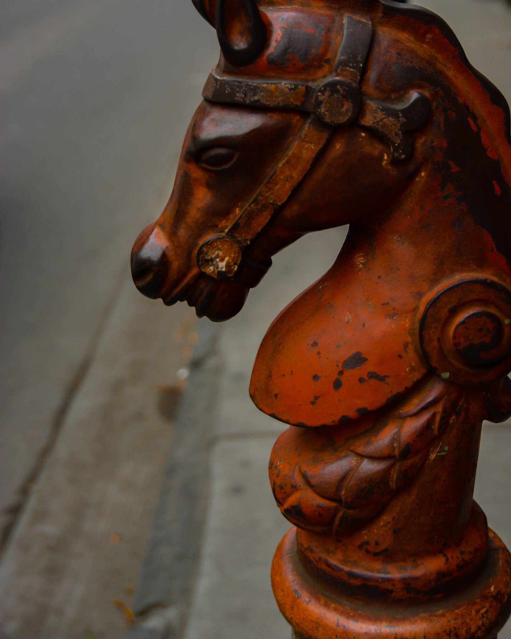 Sigma 18-250mm F3.5-6.3 DC OS HSM sample photo. New orleans photography