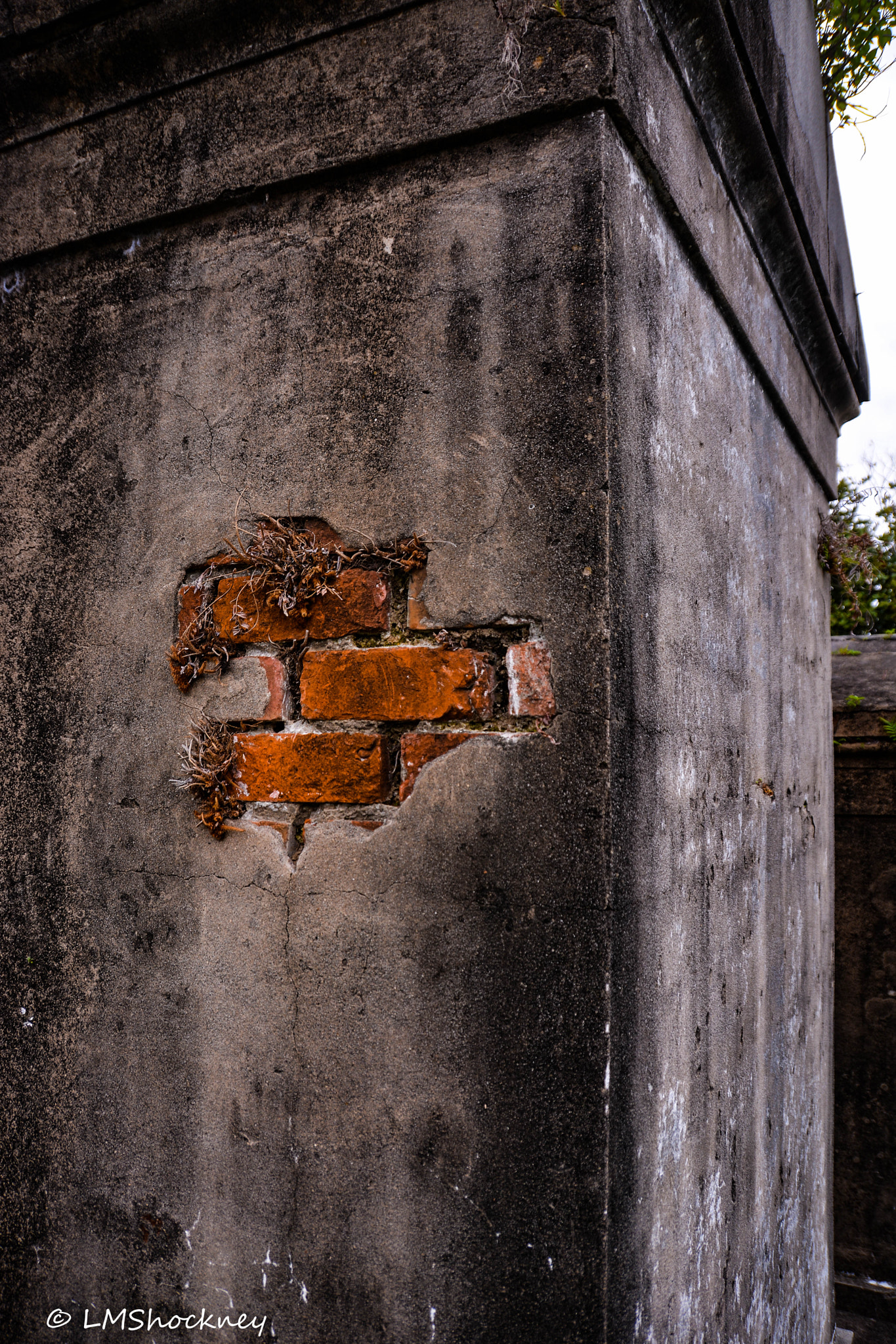 Sigma 18-250mm F3.5-6.3 DC OS HSM sample photo. New orleans photography