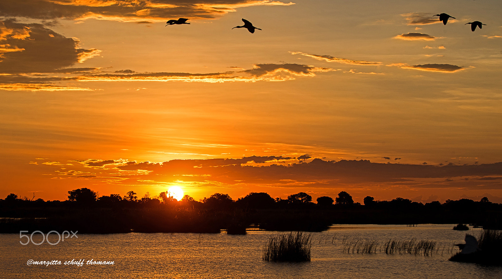 Canon EF 100-400mm F4.5-5.6L IS USM sample photo. Sunset at botswana... photography
