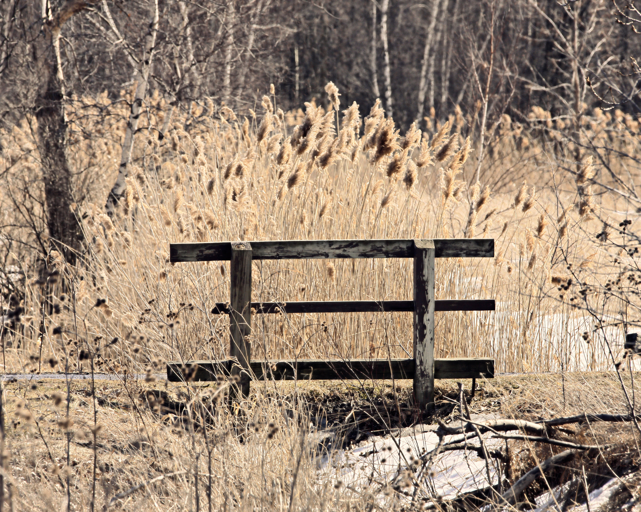 Sigma 150-600mm F5-6.3 DG OS HSM | C sample photo