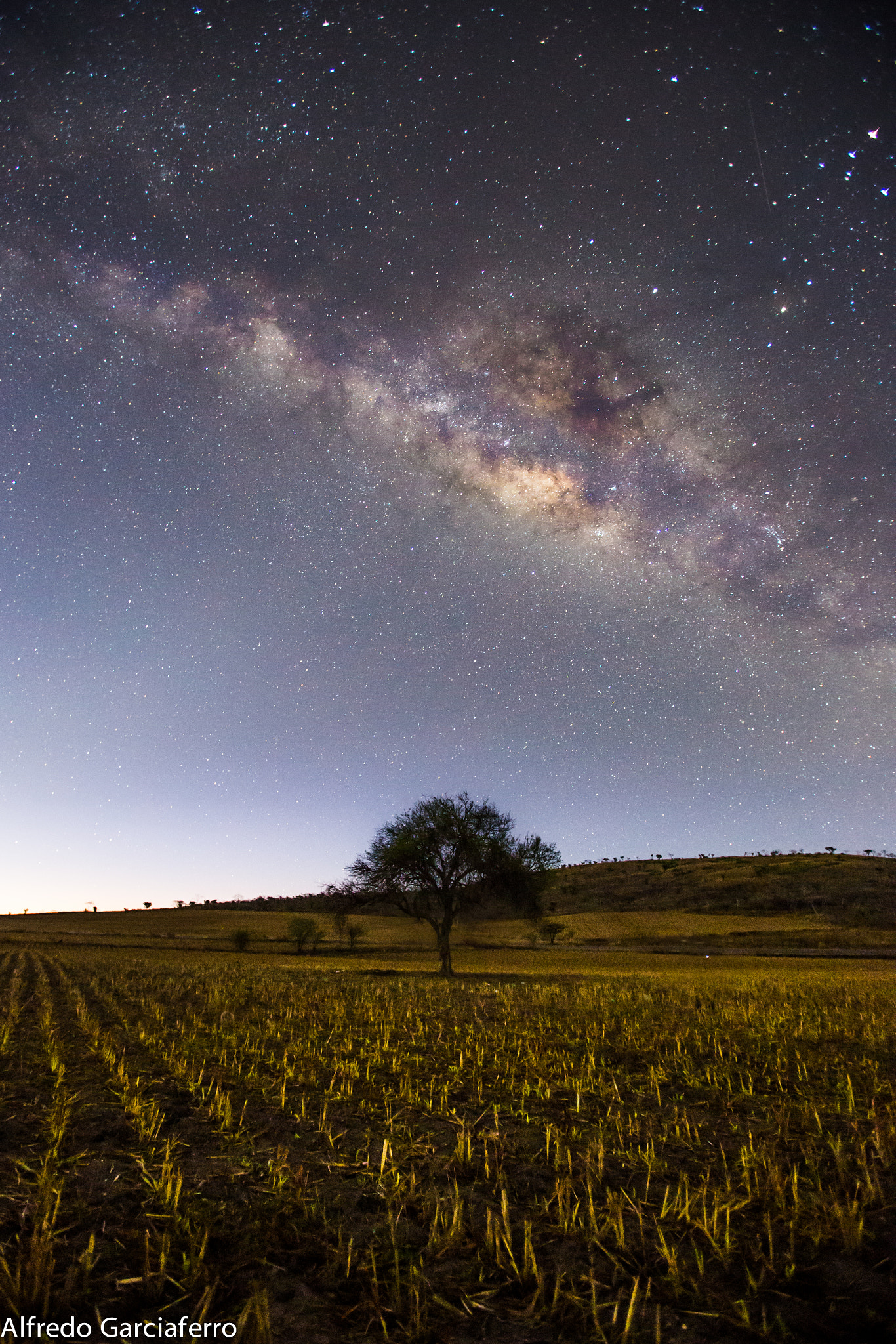 Canon EOS 6D + Canon EF 16-35mm F2.8L USM sample photo. Lonely tree photography