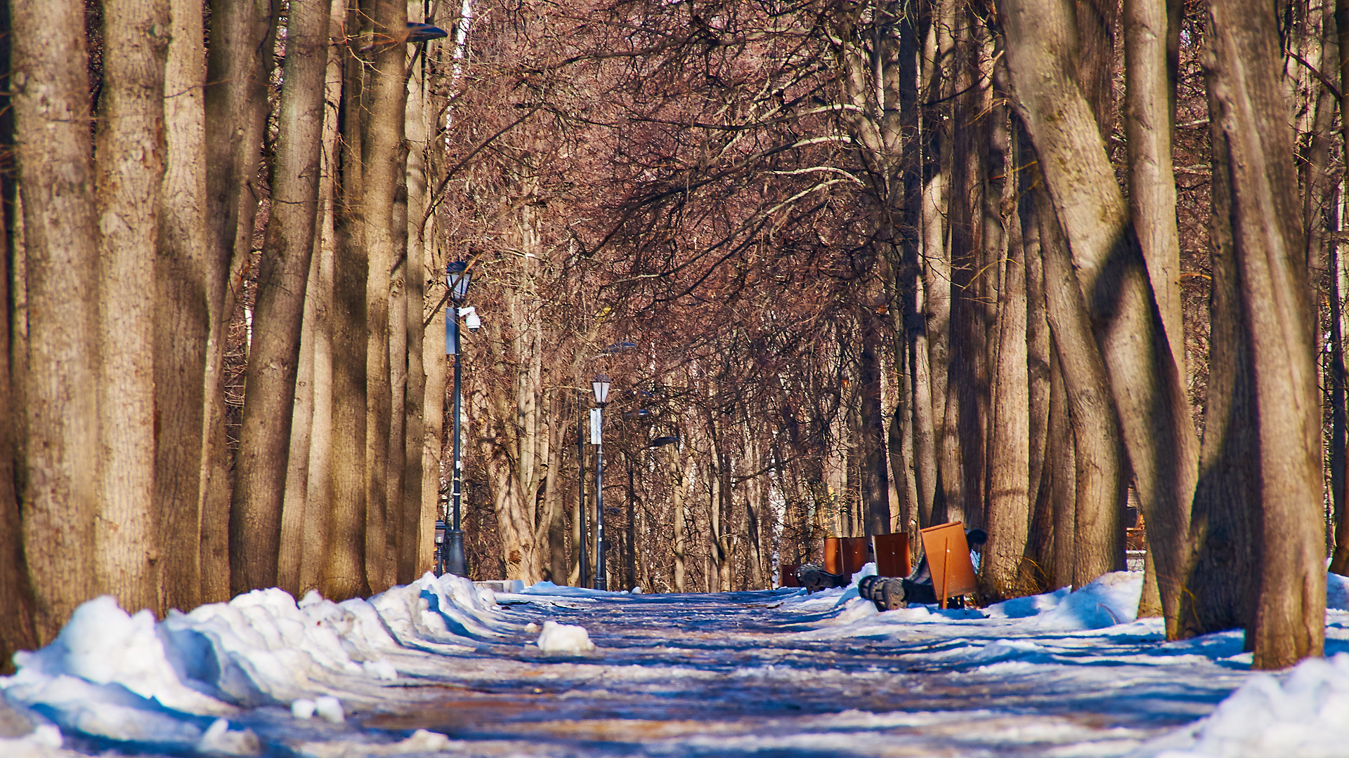 Sony SLT-A35 sample photo. Нескучный сад весной photography