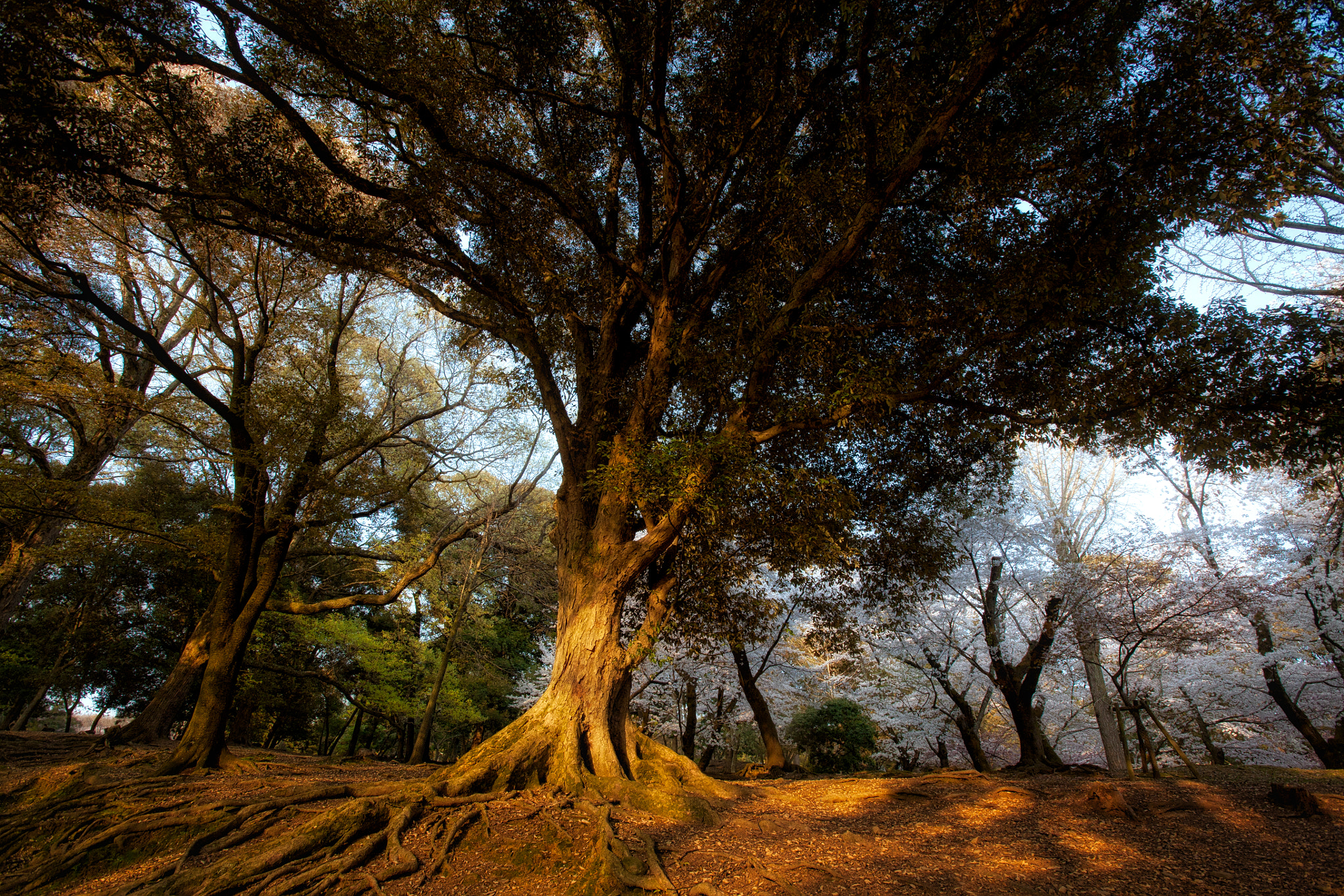 Canon EOS 5D + Canon EF 16-35mm F2.8L USM sample photo. 0116. photography