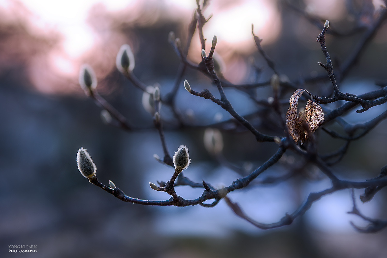 Pentax K-3 sample photo. The last cold snap in march photography