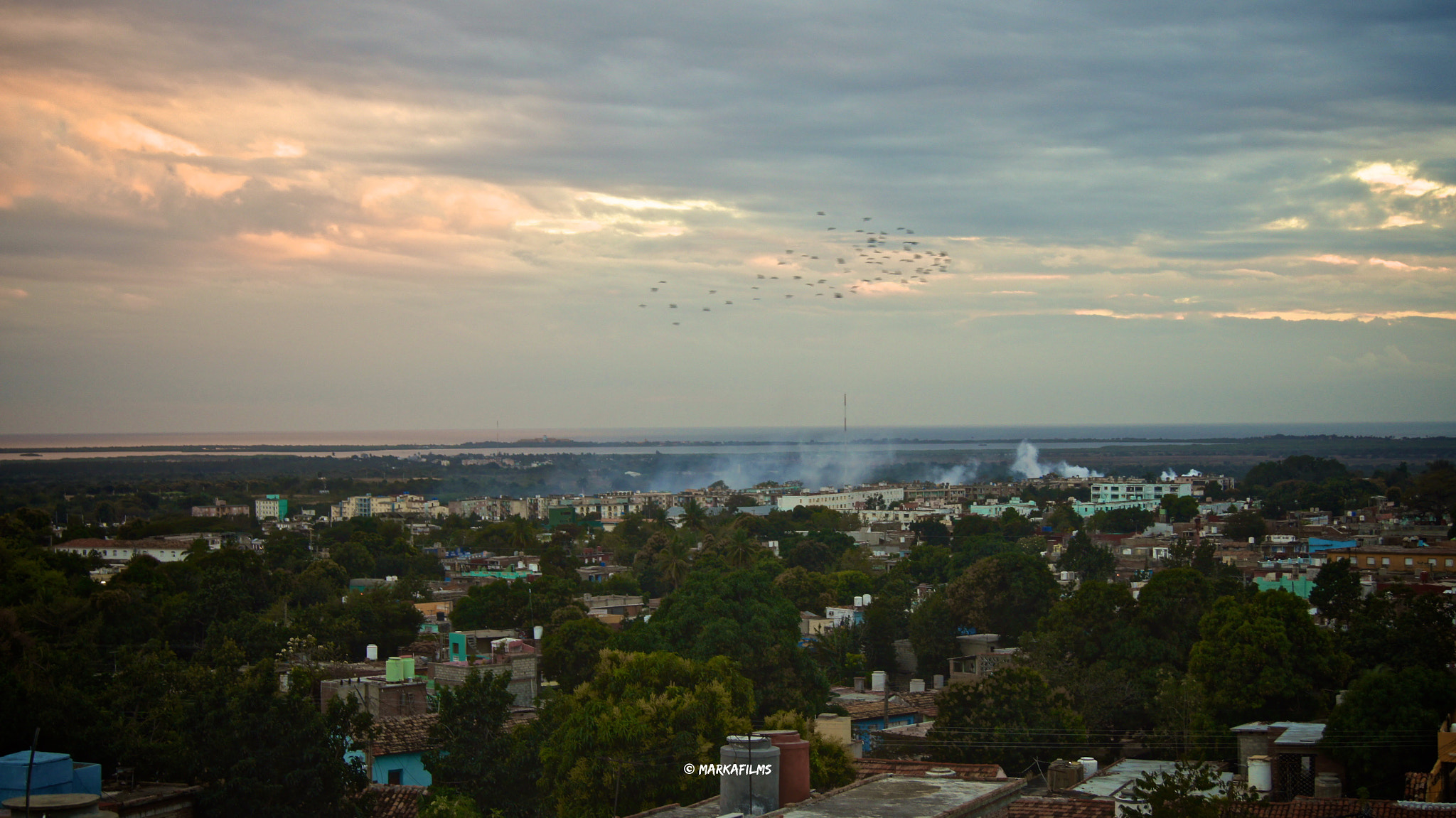 Sony DT 18-55mm F3.5-5.6 SAM II sample photo. Birds_hide_to_die.jpg photography