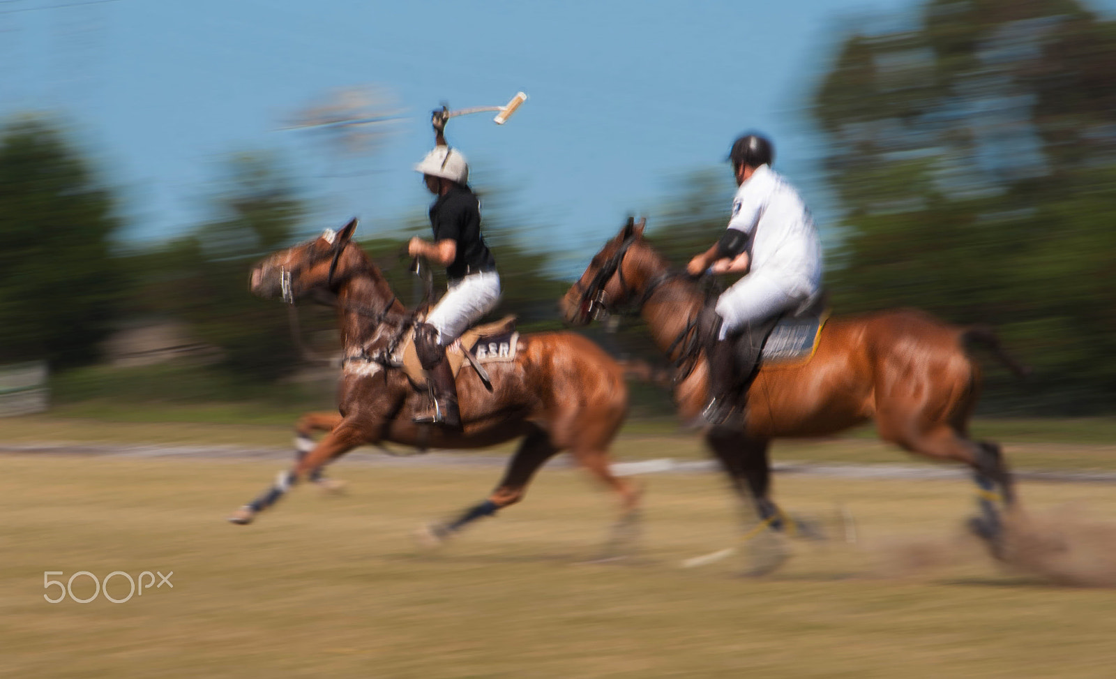 Canon EF 55-200mm F4.5-5.6 II USM sample photo. Polo ! photography