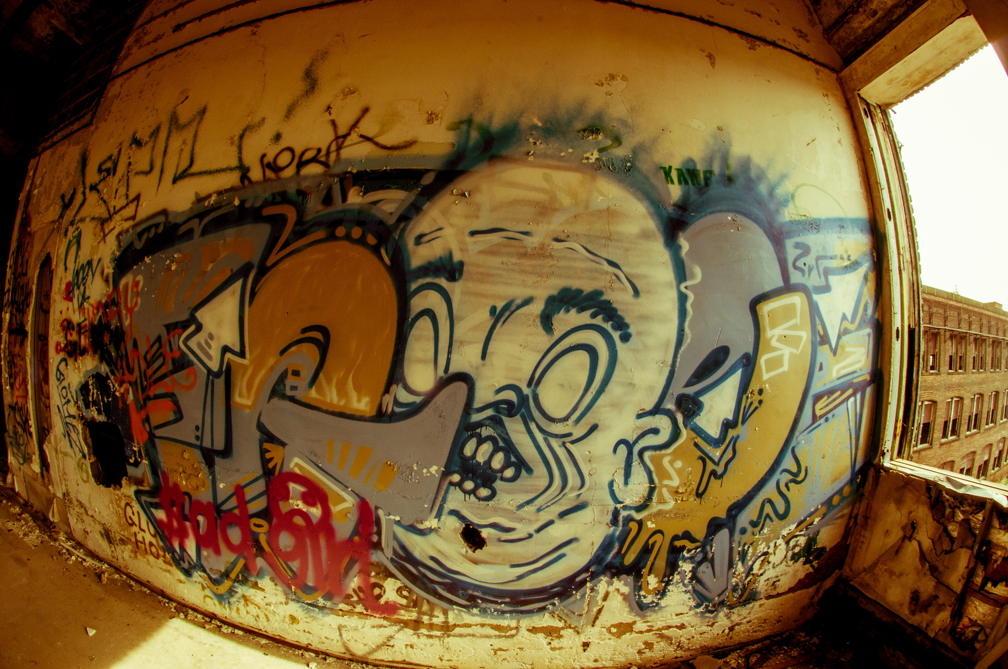 Nikon AF DX Fisheye-Nikkor 10.5mm F2.8G ED sample photo. Frugh photography