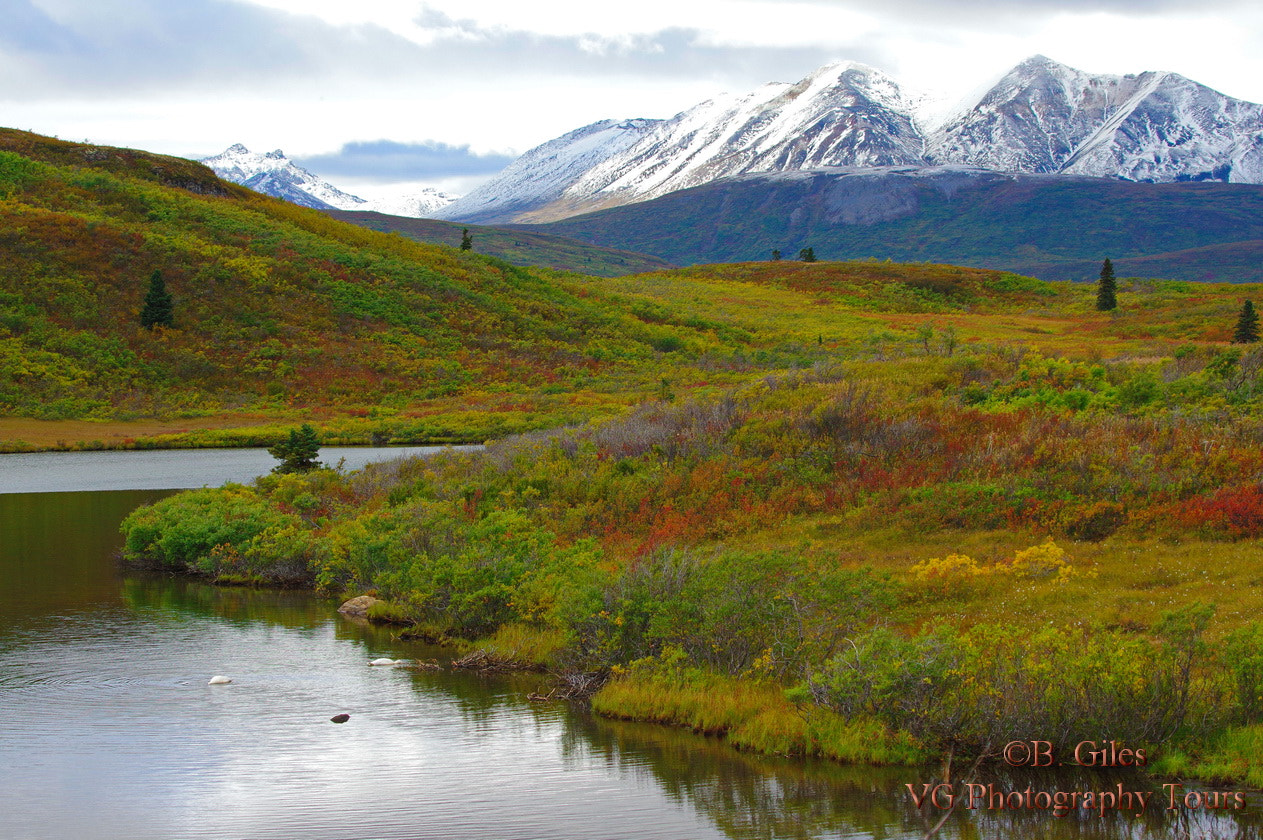 Pentax smc DA* 60-250mm F4.0 ED (IF) SDM sample photo. Yukon magic photography