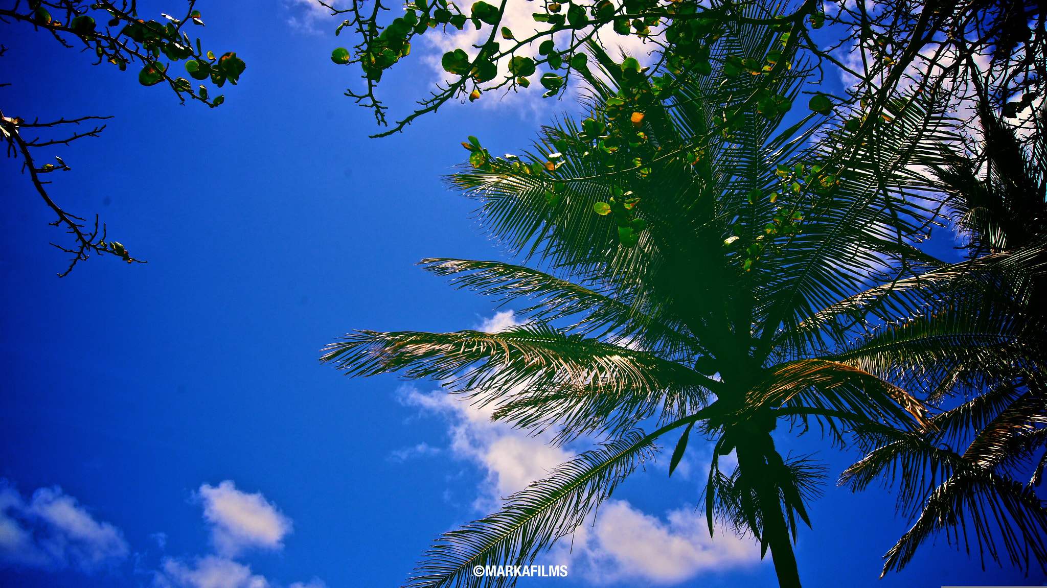 Sony DT 18-55mm F3.5-5.6 SAM II sample photo. My_blue_sky_.jpg photography