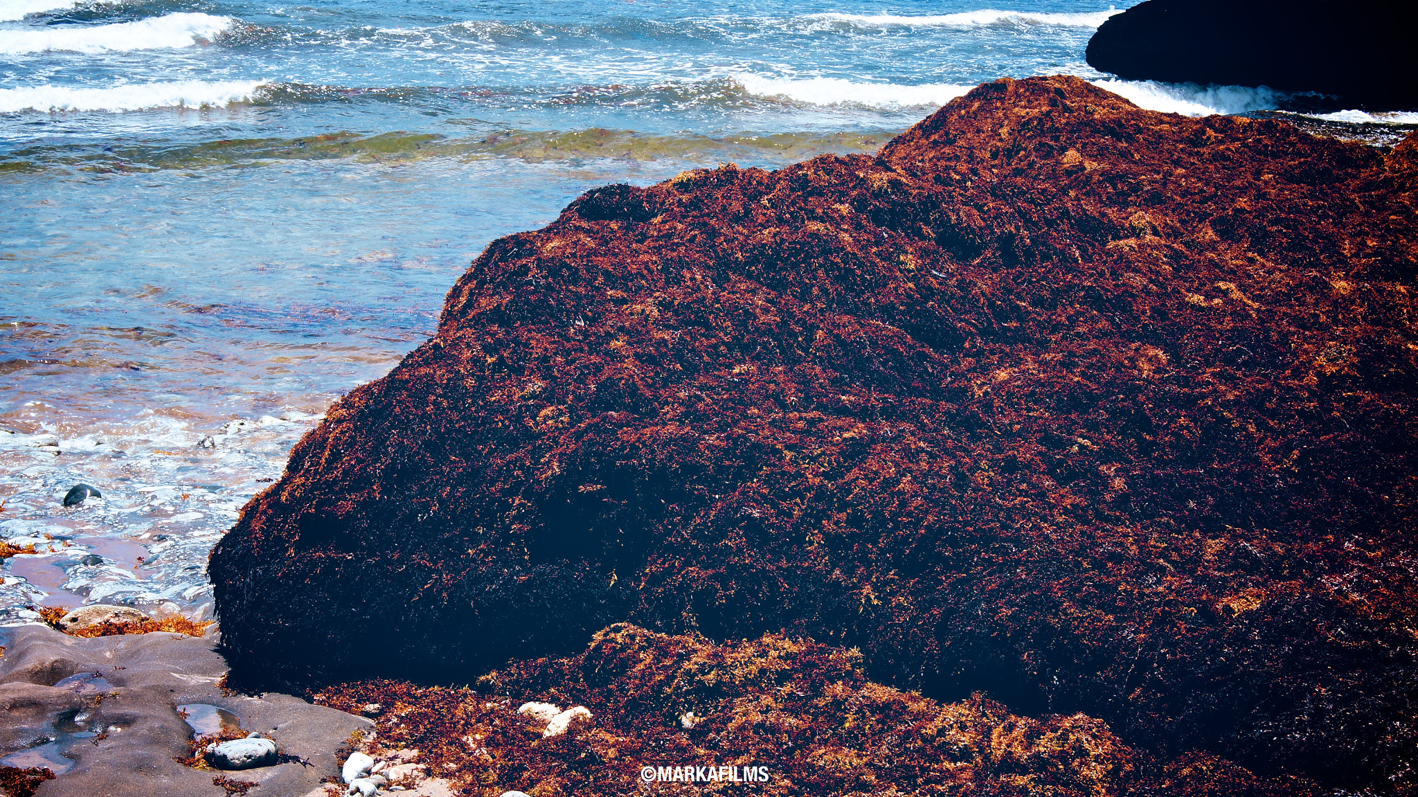 Sony DT 18-55mm F3.5-5.6 SAM II sample photo. The_mount_sea_weed.jpg photography