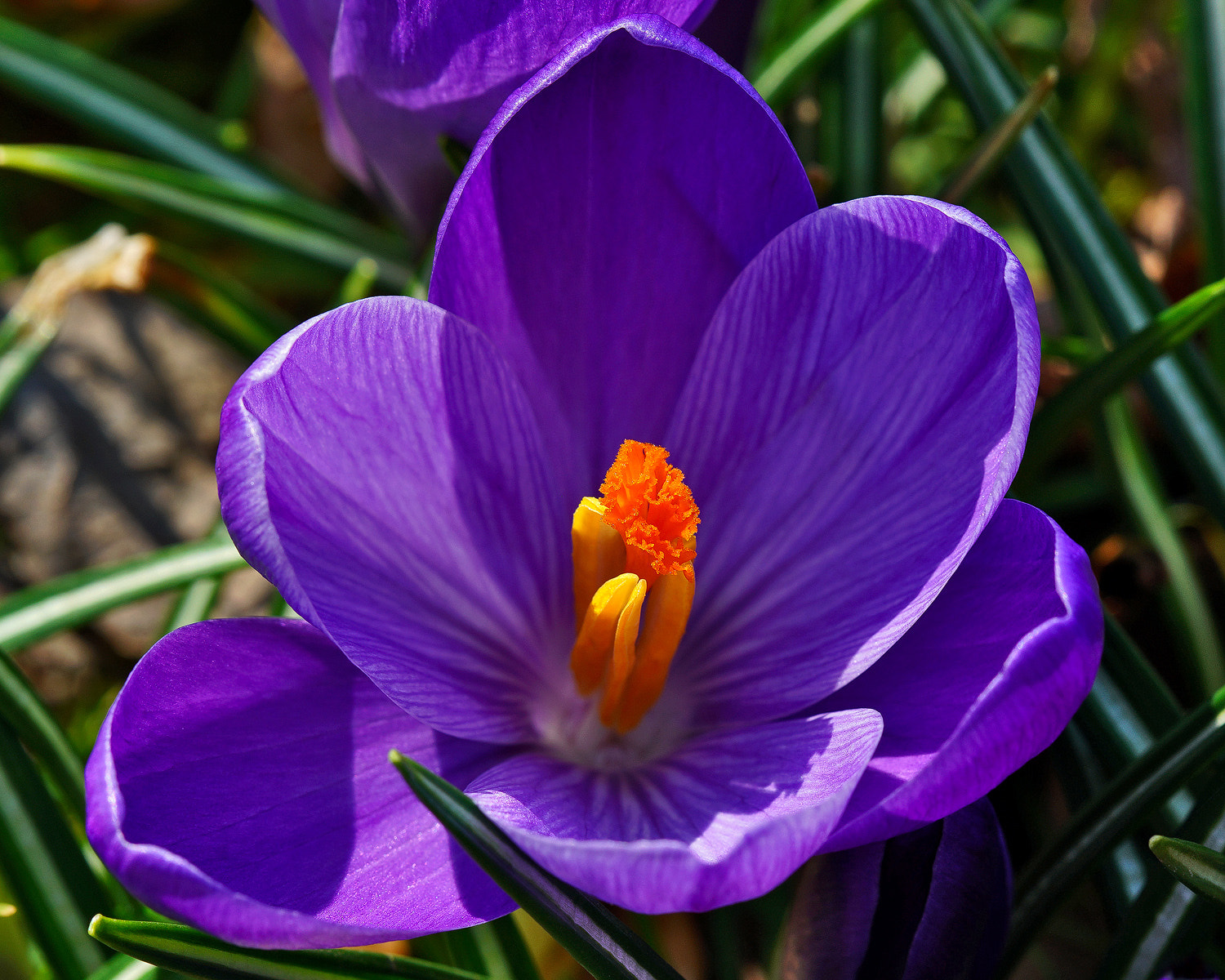 100mm F2.8 SSM sample photo. Open for business photography