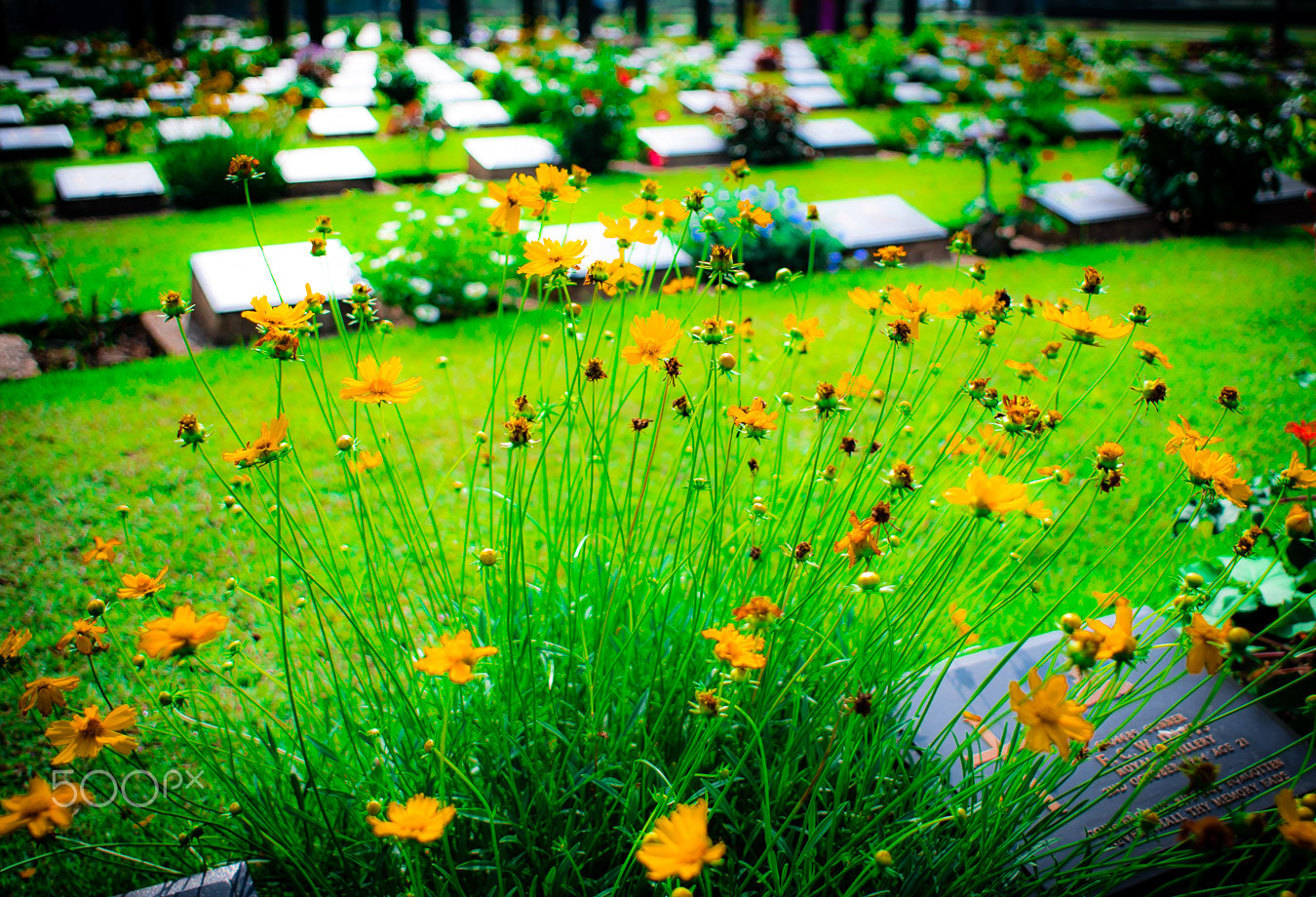 Sony ILCA-77M2 + Minolta AF 24mm F2.8 sample photo. Rip soldiers, for our today, you gave yours photography