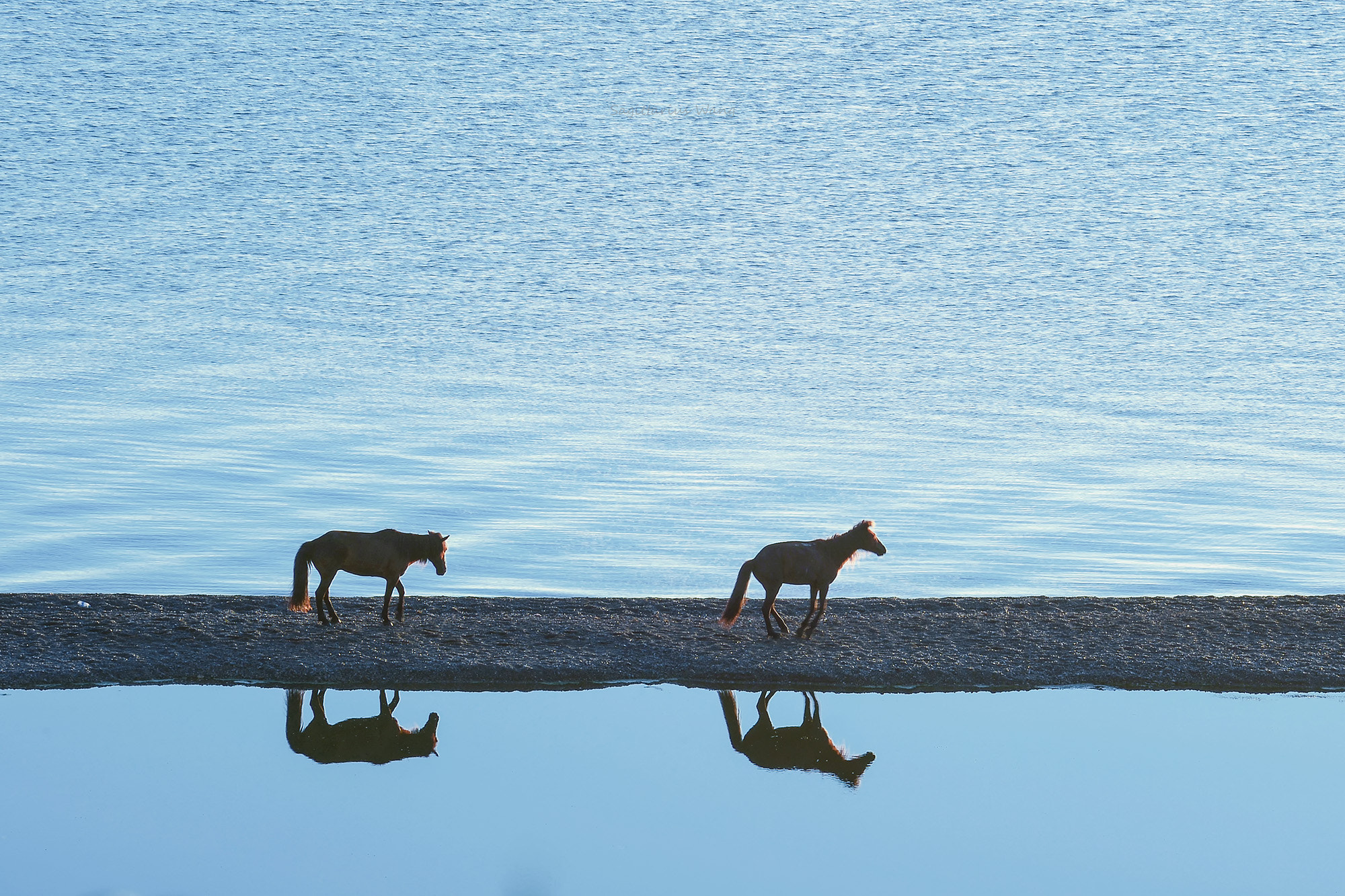 Nikon D4 sample photo. Sailimu lake photography