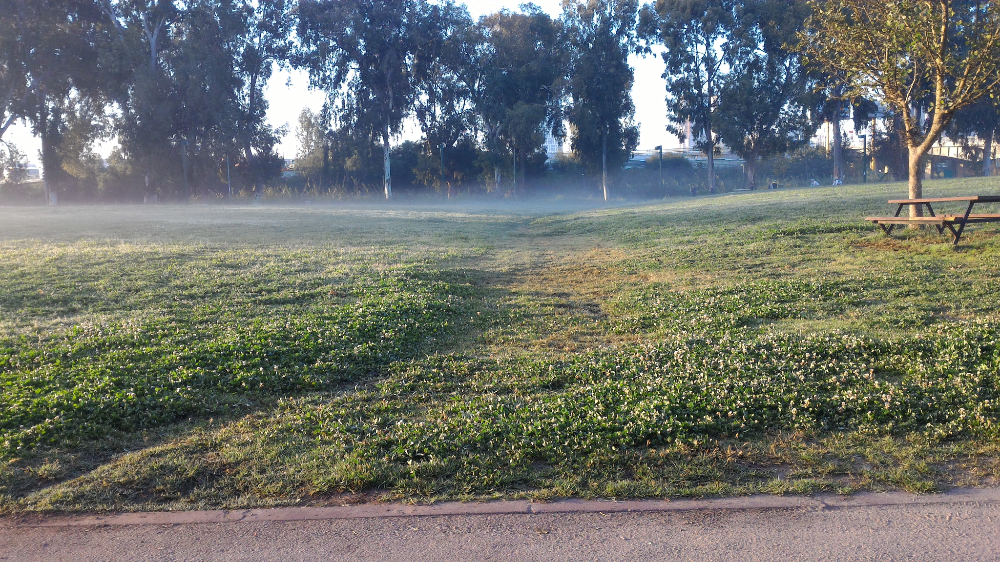ASUS Z00ADB sample photo. Foggy ground photography