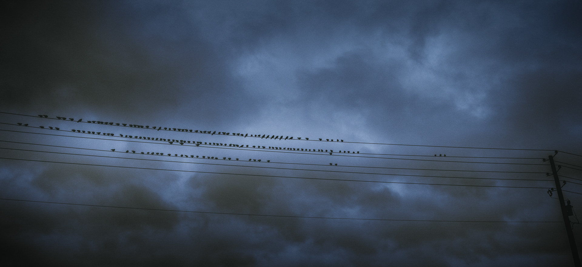 Tamron SP AF 17-50mm F2.8 XR Di II LD Aspherical (IF) sample photo. Spring birds photography
