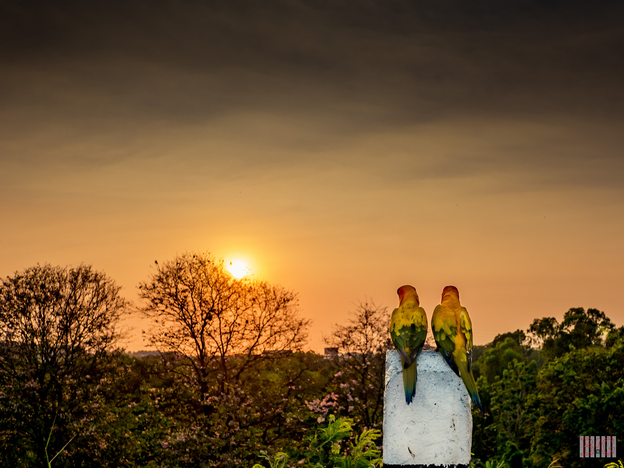 Panasonic Lumix DMC-GX8 + Panasonic Lumix G 14mm F2.5 ASPH sample photo. The couple photography