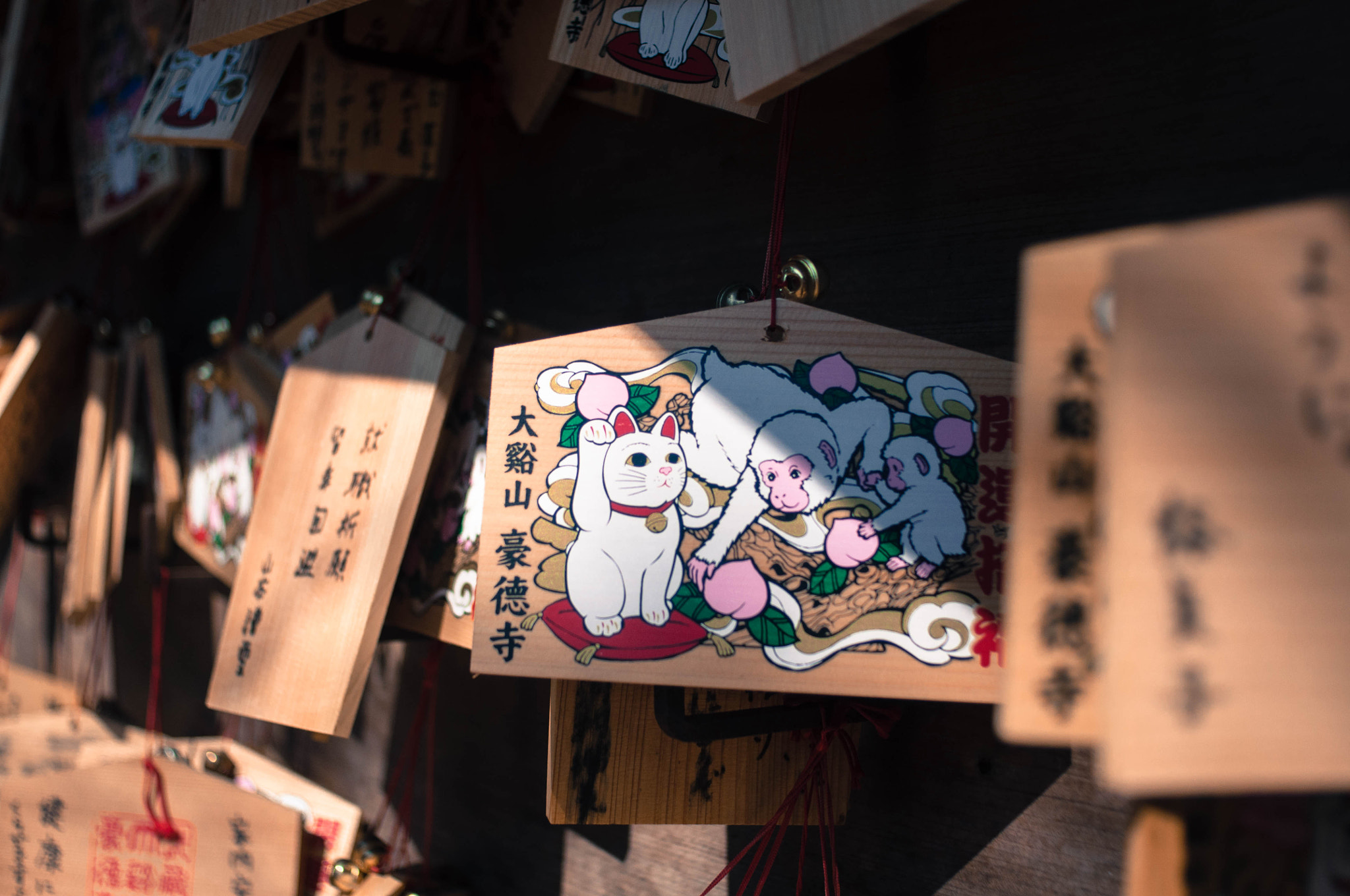 Nikon D90 + AF Nikkor 28mm f/2.8 sample photo. Gotokuji temple photography