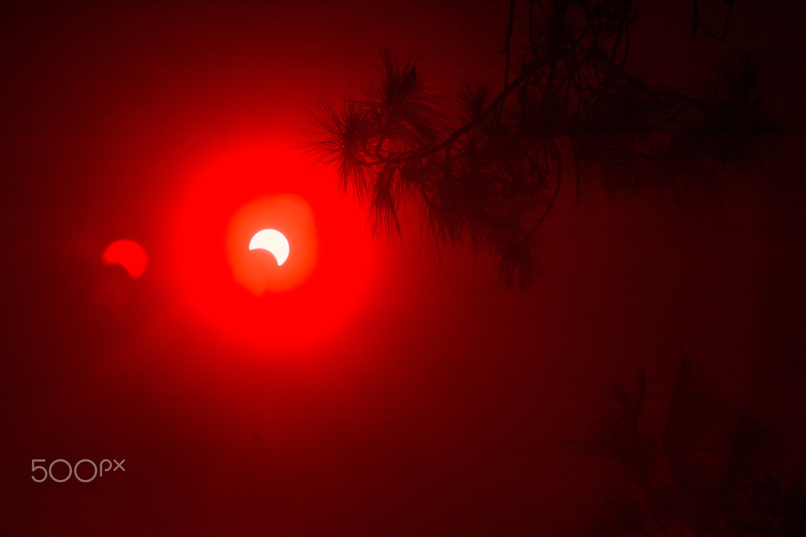 AF Zoom-Nikkor 24-120mm f/3.5-5.6D IF sample photo. 2016 solar eclipse photography