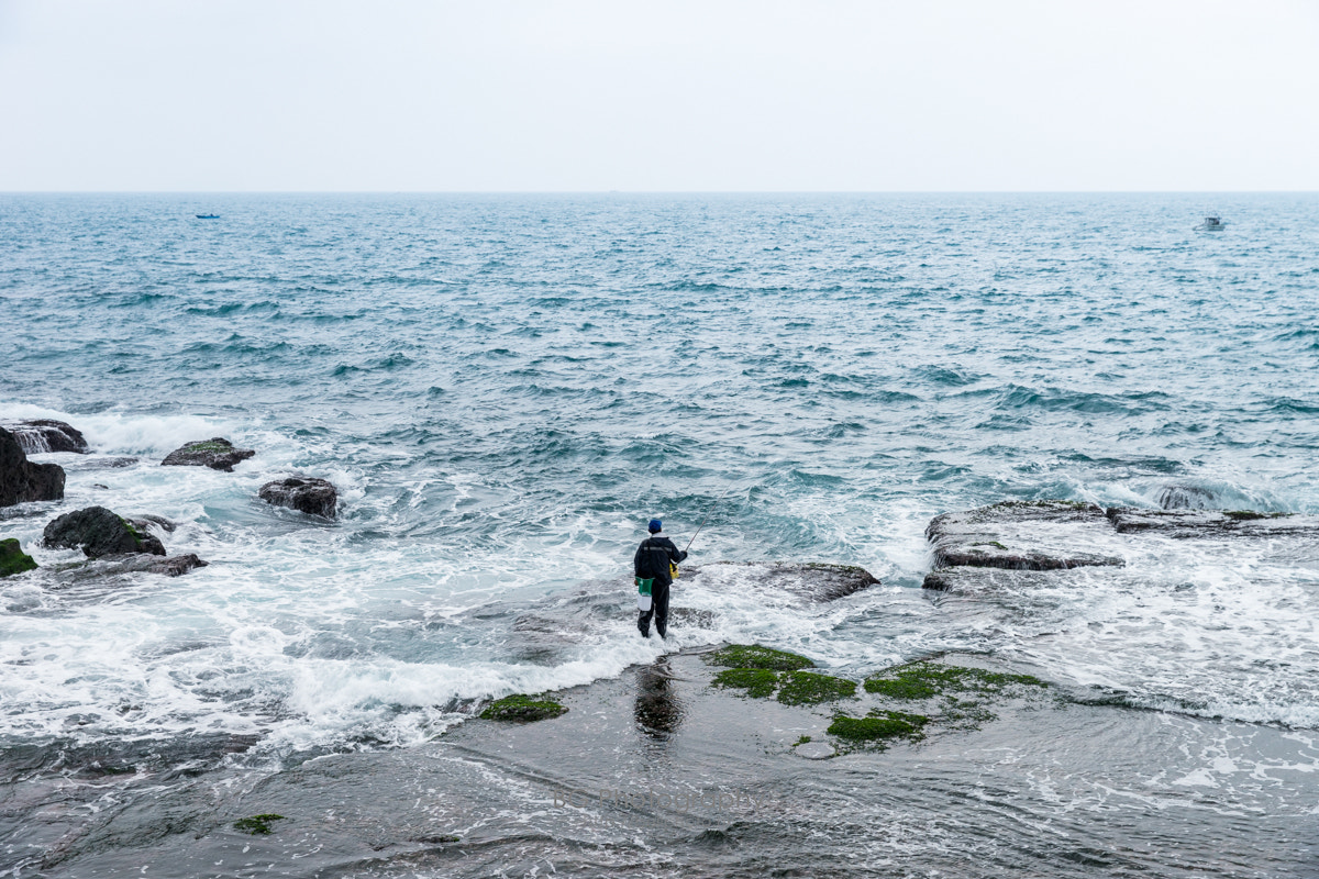 Sony a7 + Canon EF 85mm F1.2L II USM sample photo. 垂吊者. photography