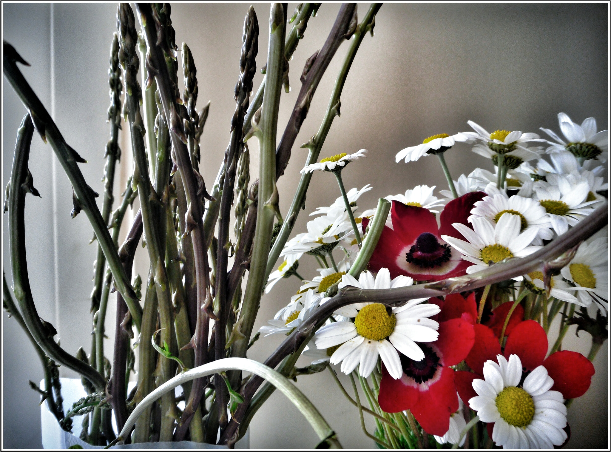 Samsung PL80/VLUU PL80/ SL630/ PL81 sample photo. Kedirgen otu ve papatyalar.  photography
