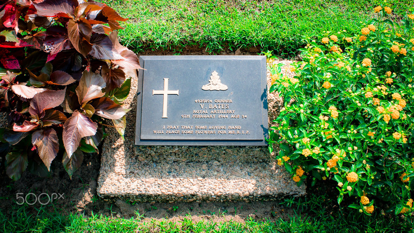 Sony ILCA-77M2 + Minolta AF 24mm F2.8 sample photo. Pray for some loving hand with flowers for me photography