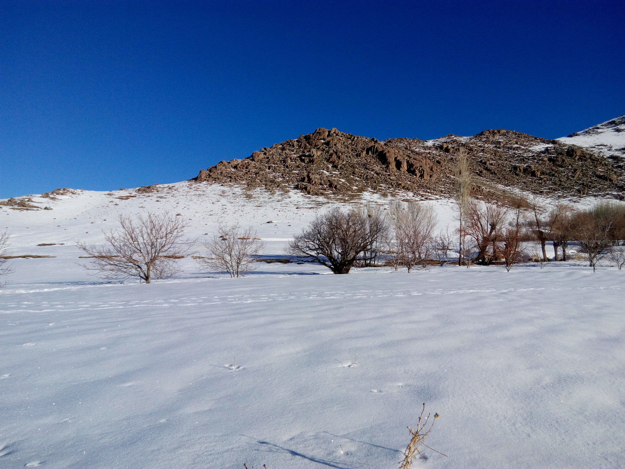 HTC DESIRE 816G DUAL SIM sample photo