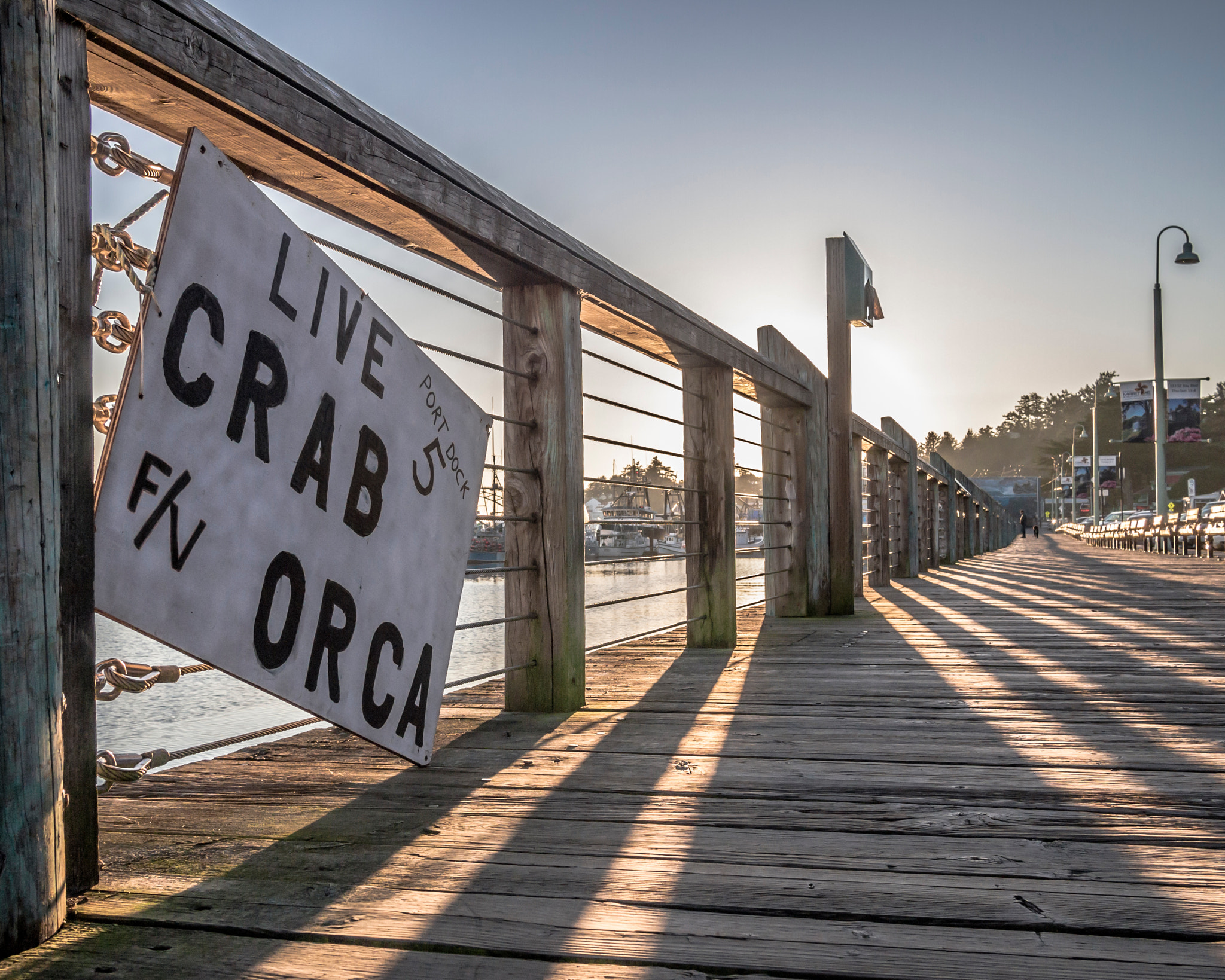 Olympus PEN E-PL3 + Panasonic Lumix G 20mm F1.7 ASPH sample photo. Live crab sign photography