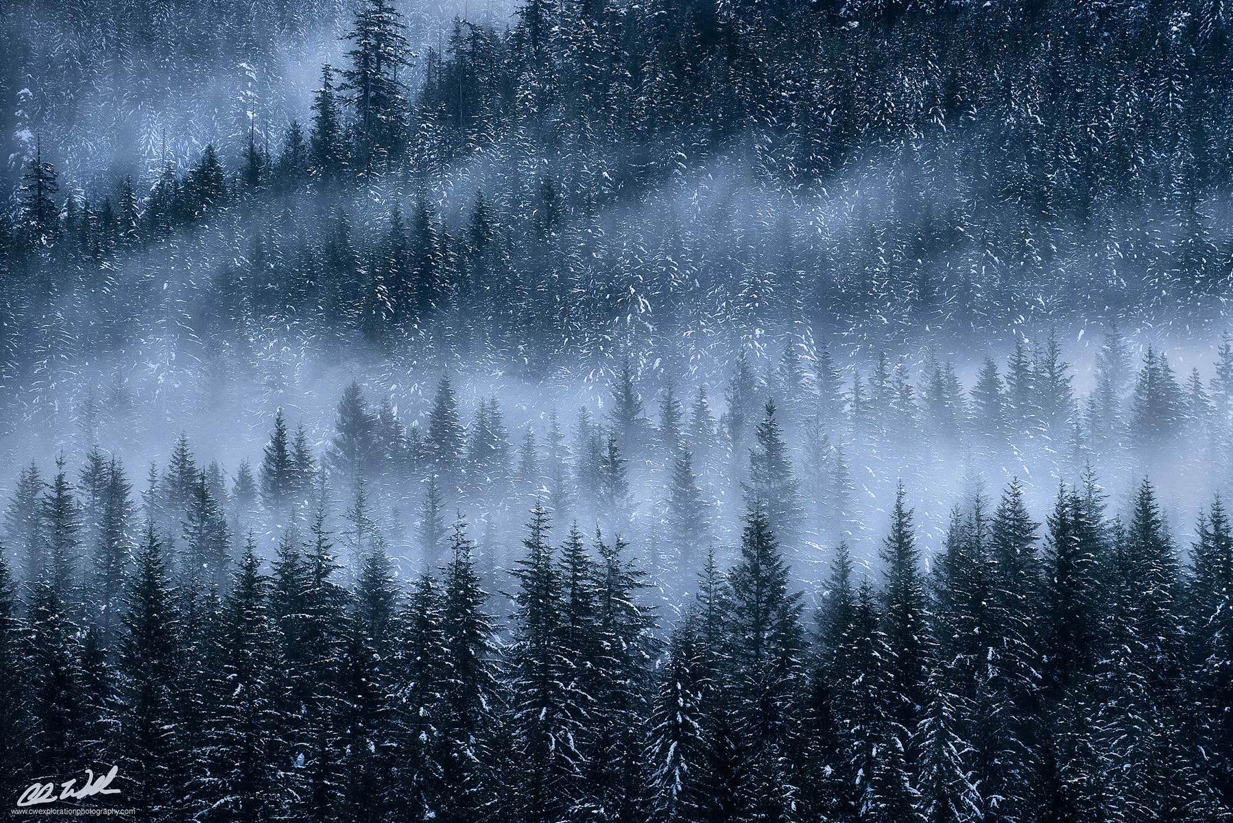 Canon EF 28-300mm F3.5-5.6L IS USM sample photo. The cold photography