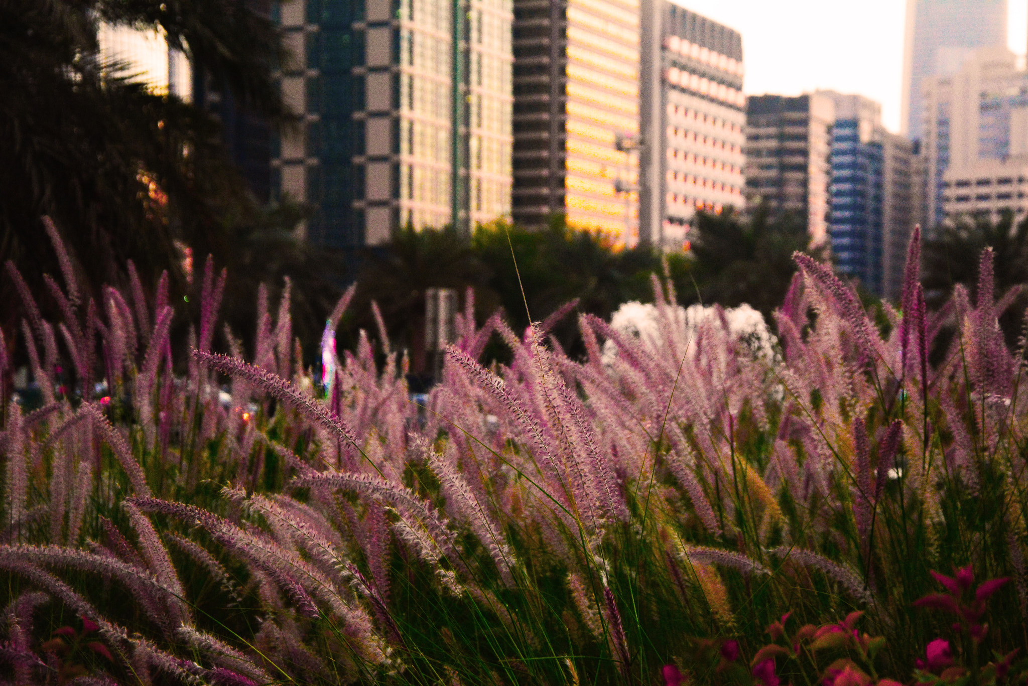 Nikon AF Nikkor 28mm F2.8D sample photo. Hangin photography