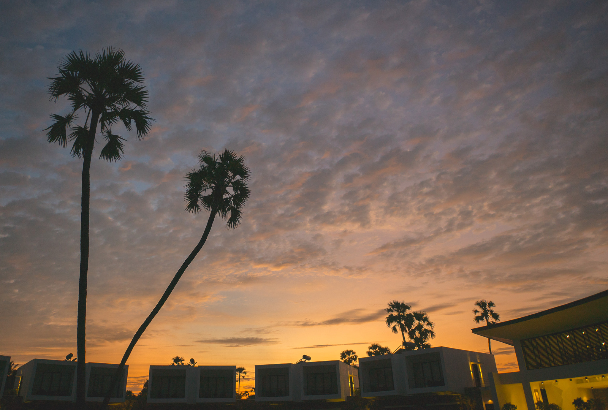 Sony a7S II + Sony DT 50mm F1.8 SAM sample photo. Golden sunset backdrop photography