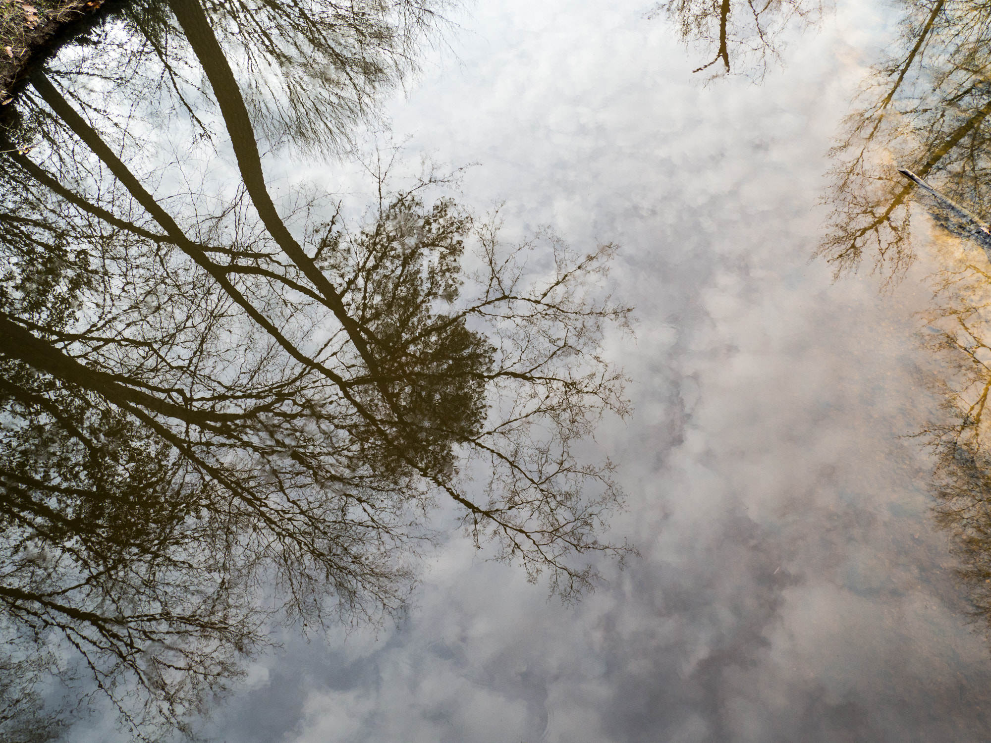 Olympus OM-D E-M10 sample photo. Looking down into the sky photography