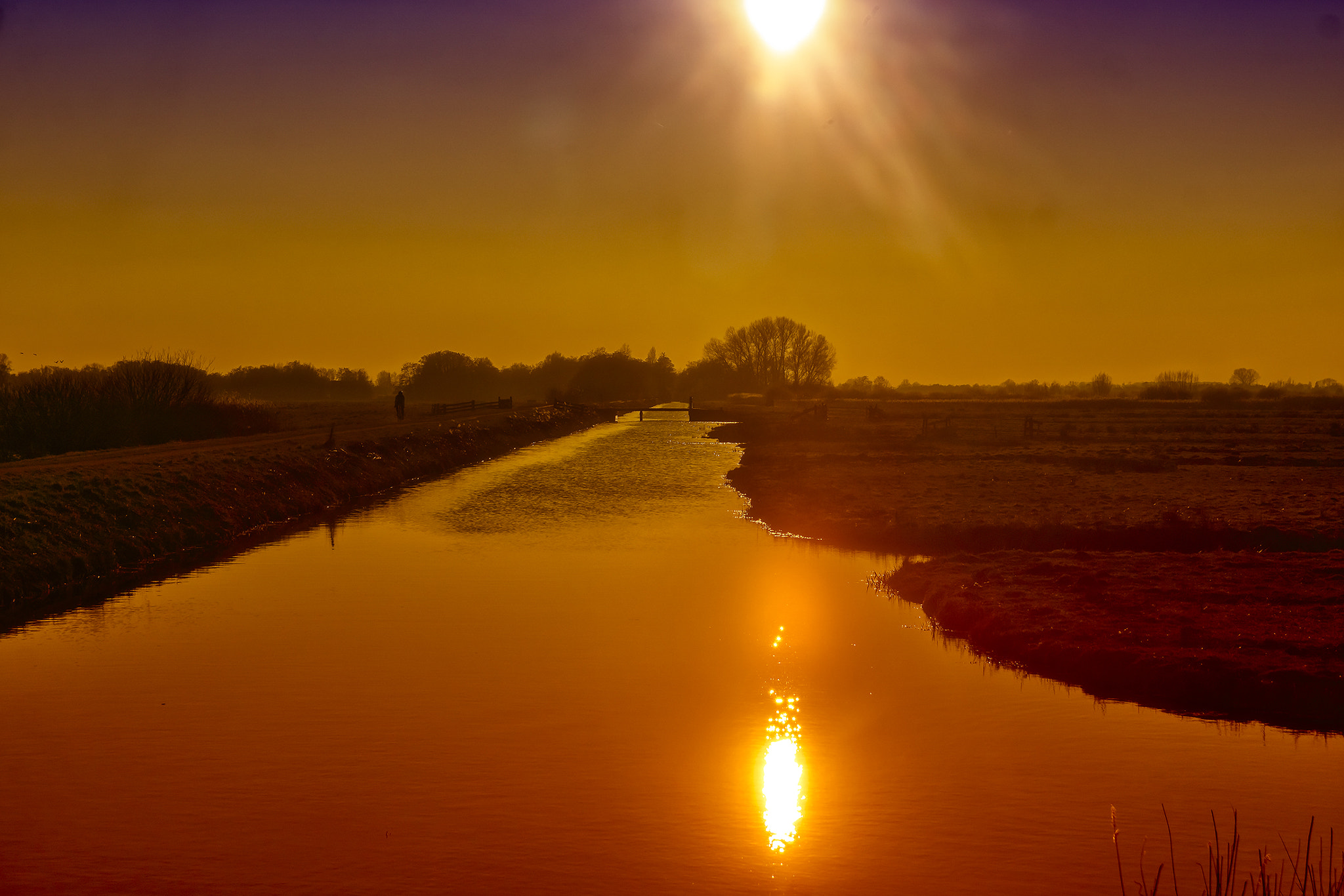 Sony SLT-A65 (SLT-A65V) + 17-50mm F2.8 sample photo. Shall i compare thee to a summers day photography