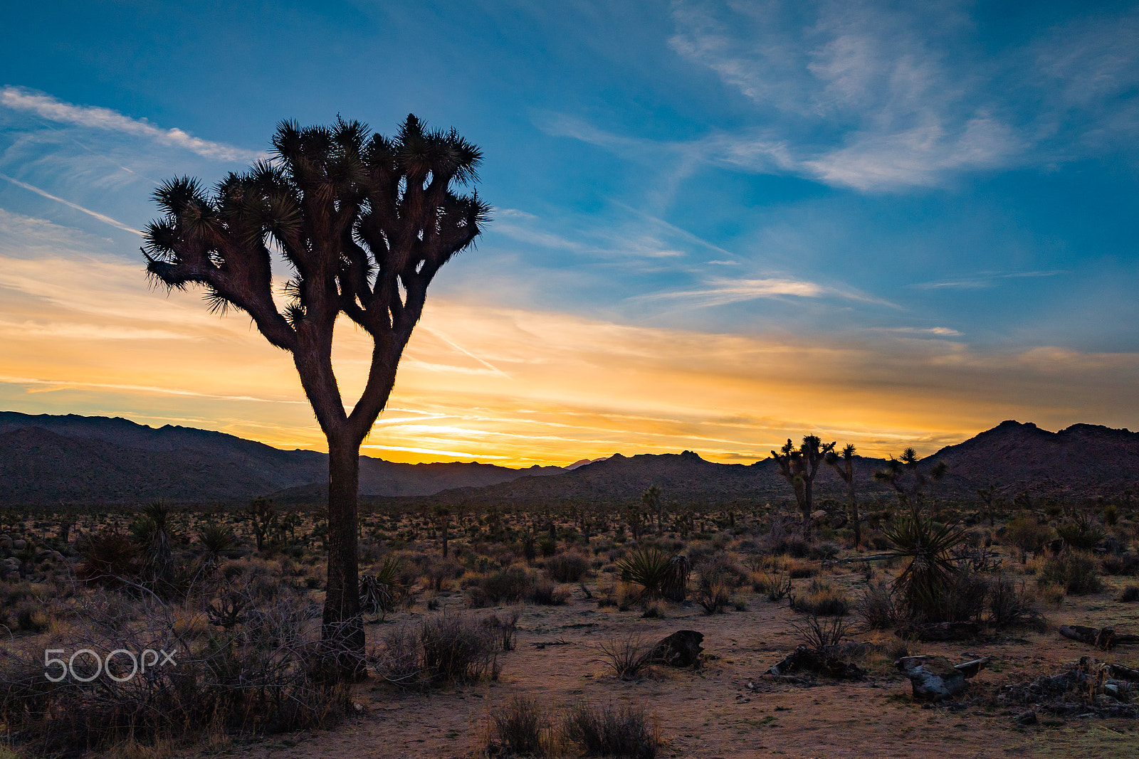 Panasonic Lumix DMC-GX8 + LEICA DG SUMMILUX 15/F1.7 sample photo. Sunset / joshua tree np, ca photography