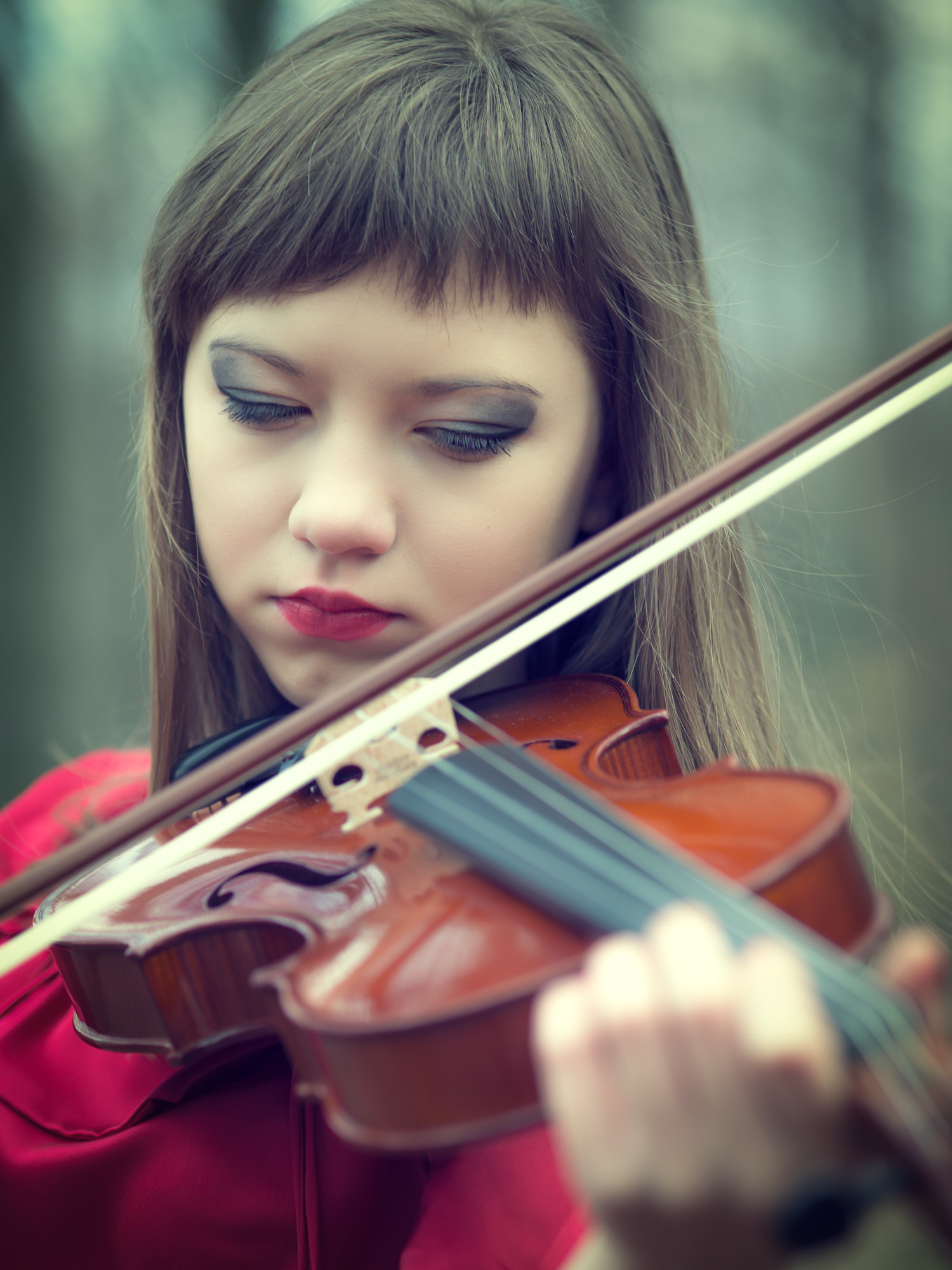 ZEISS Makro-Planar T* 100mm F2 sample photo. Violin photography