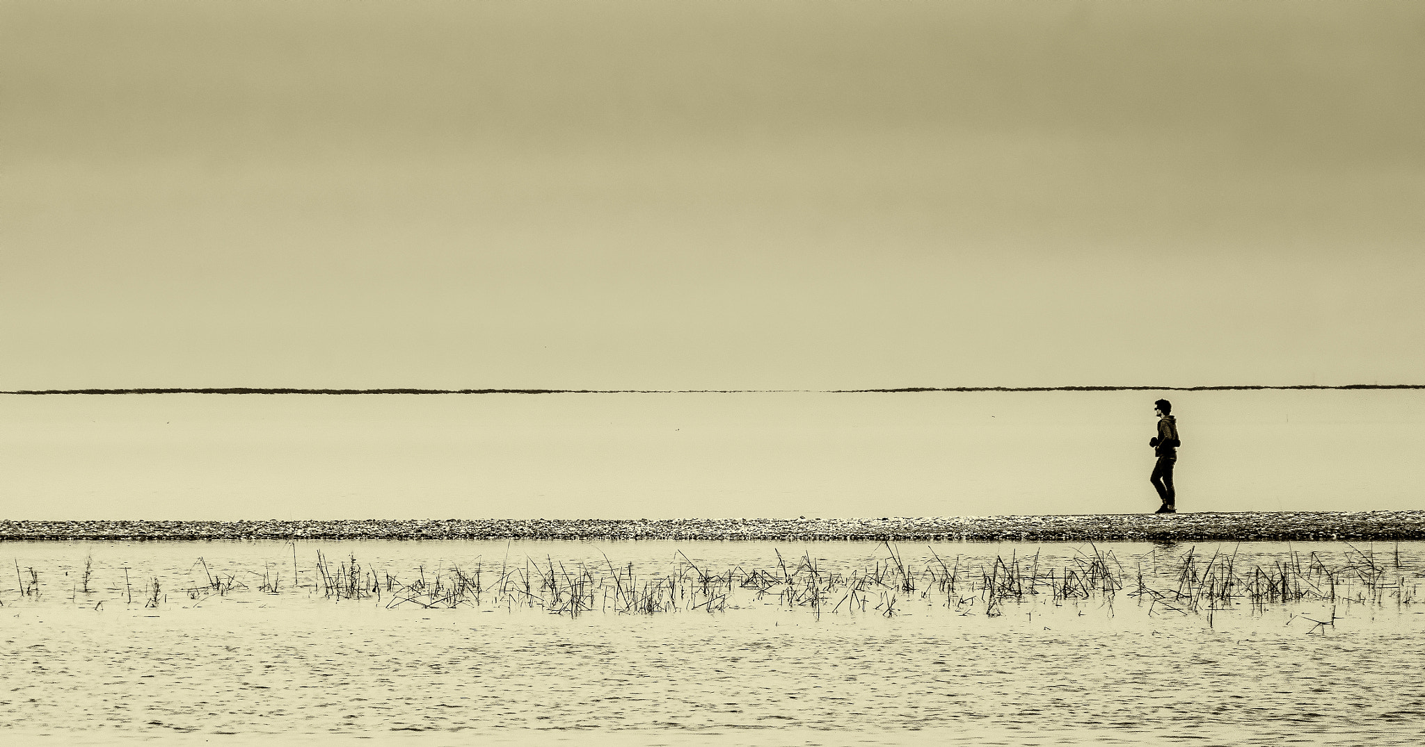 Pentax K-3 sample photo. Lonely walk in sepia photography