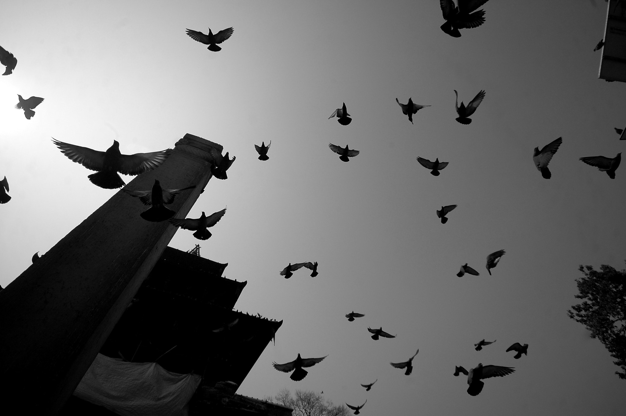 Nikon D70 sample photo. R i s e photography