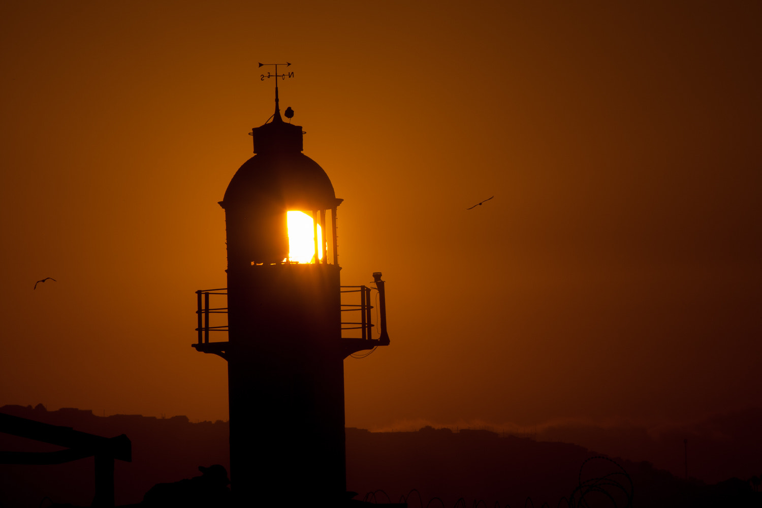 Canon EF 70-200mm F2.8L USM sample photo. Faro photography