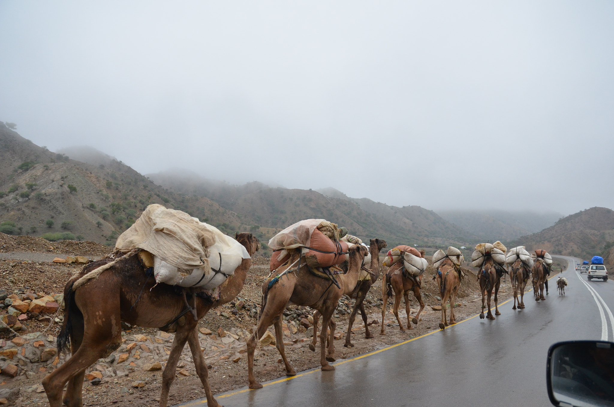 Sigma 17-70mm F2.8-4 DC Macro OS HSM | C sample photo. Afar region, ethiopia photography