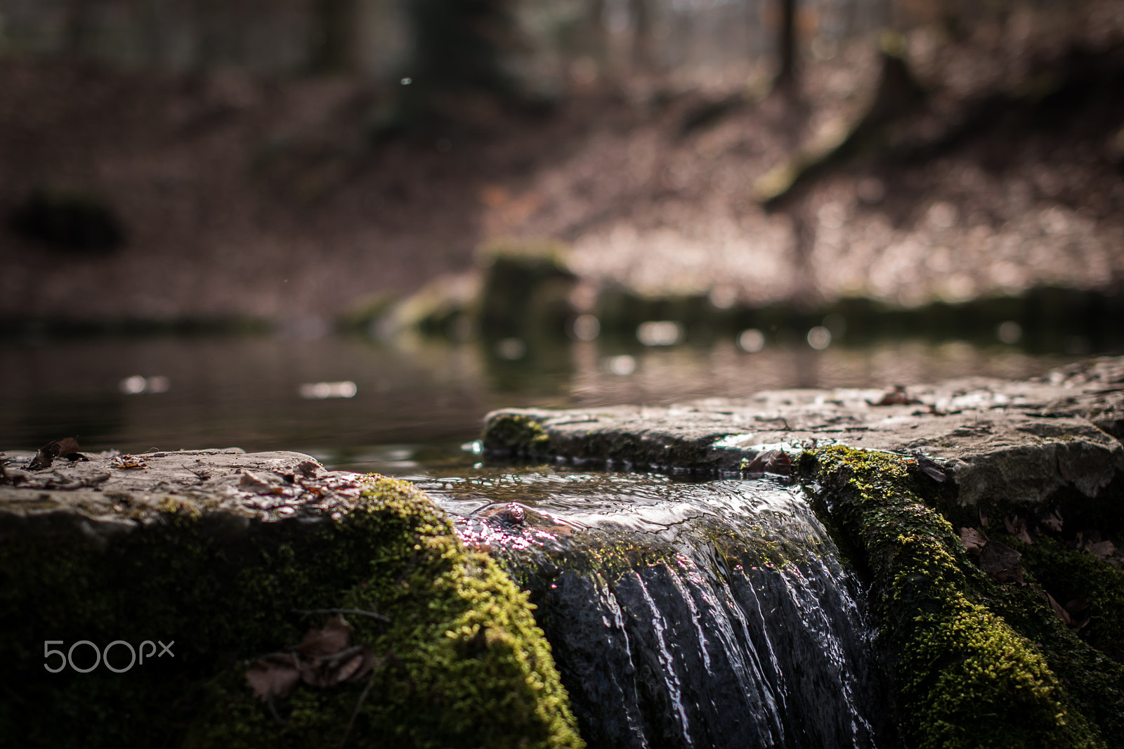 Nikon D5300 + Sigma 50mm F1.4 EX DG HSM sample photo. Little creek photography