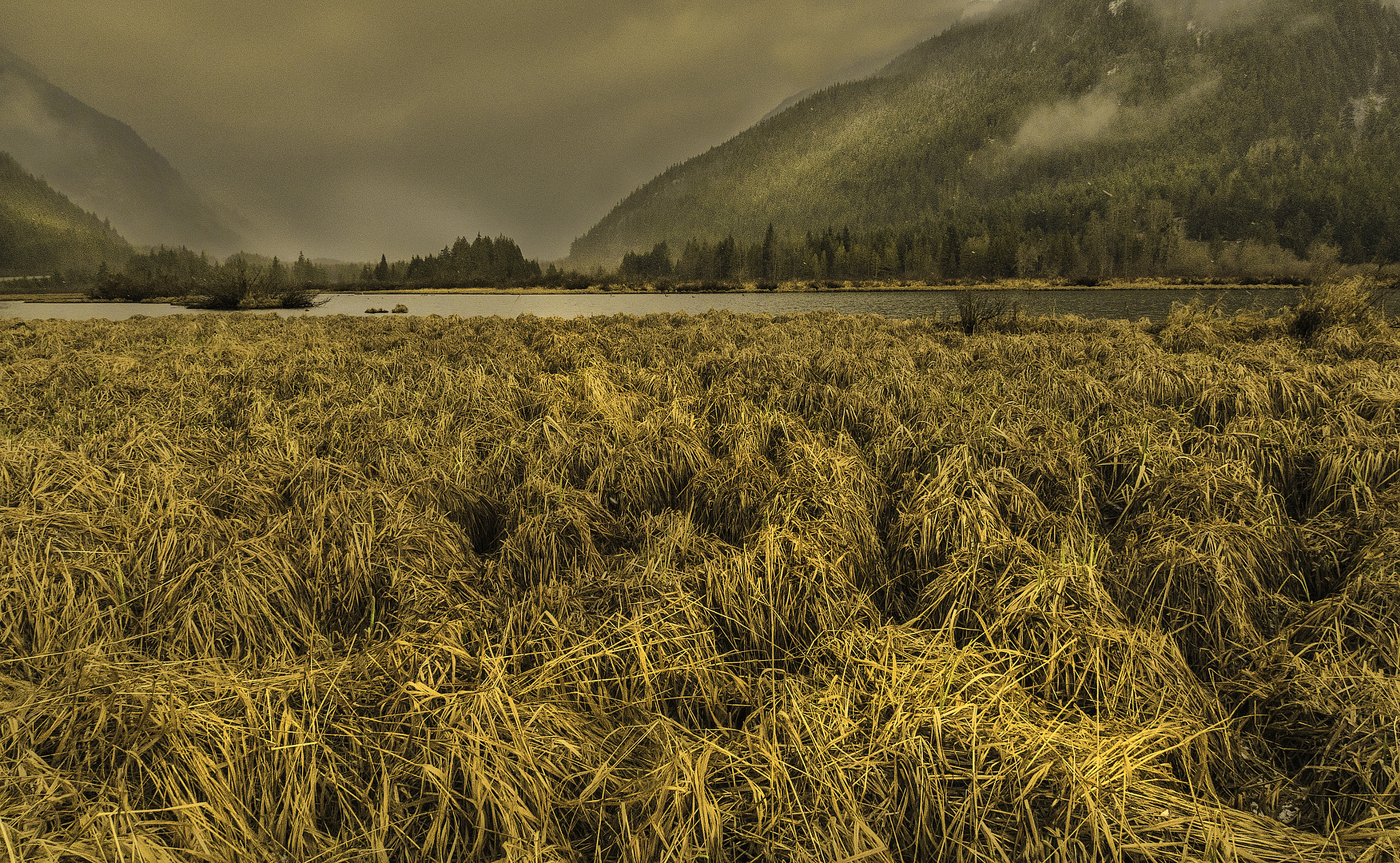 Sony a7R sample photo. Storm approaching photography