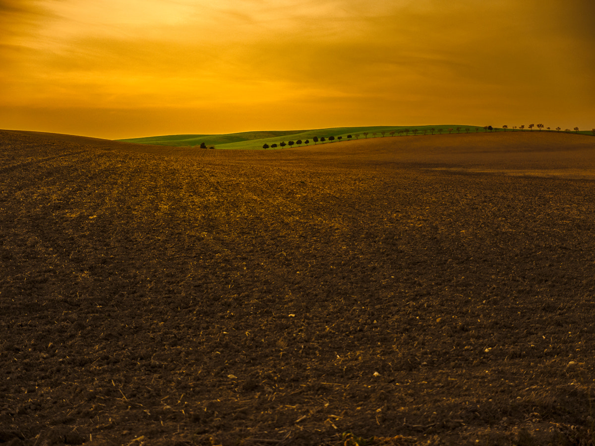 Panasonic Lumix G X Vario 12-35mm F2.8 ASPH Power OIS sample photo. Sunset photography