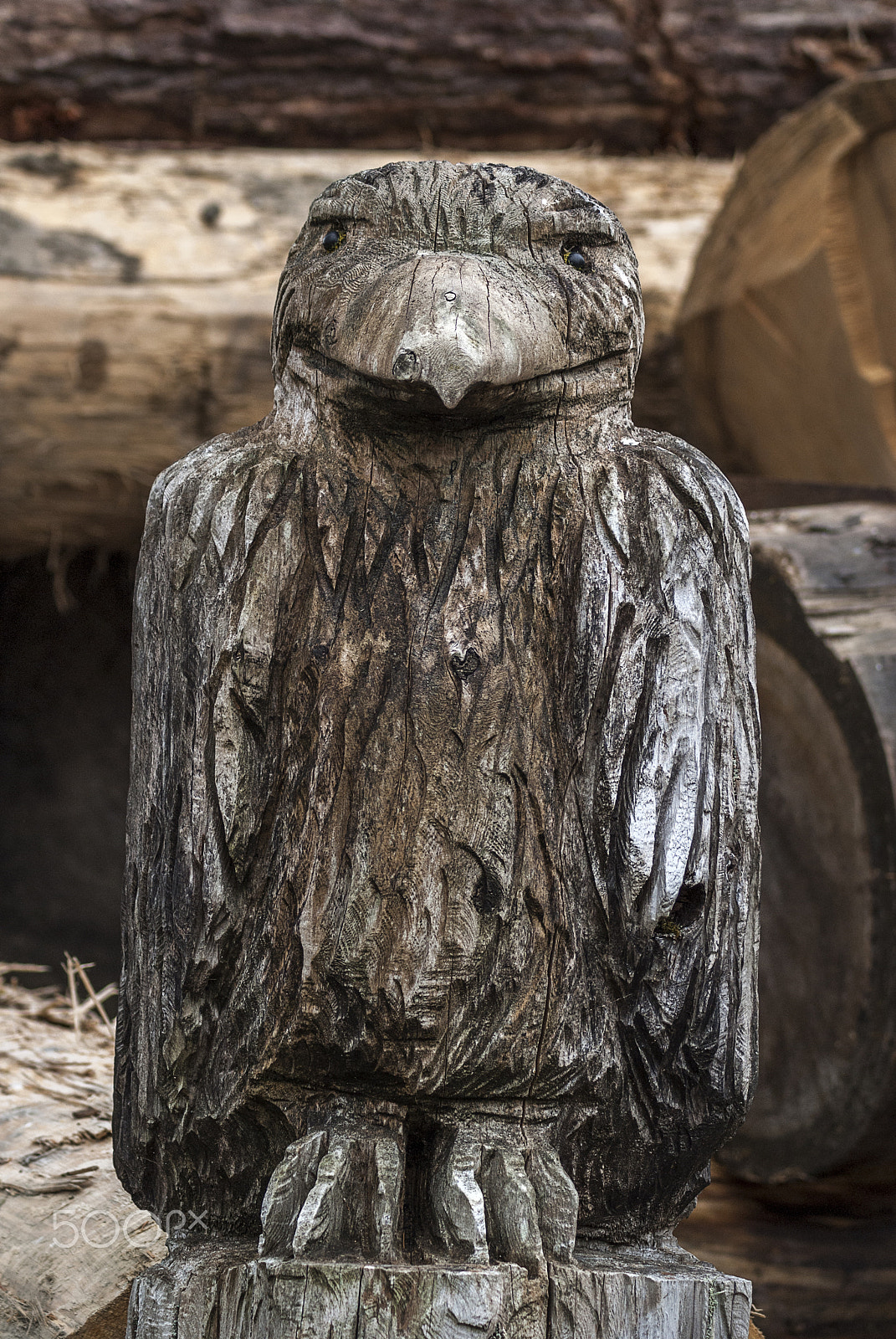 Sony Alpha DSLR-A200 sample photo. Ketchikan bird sculpture photography