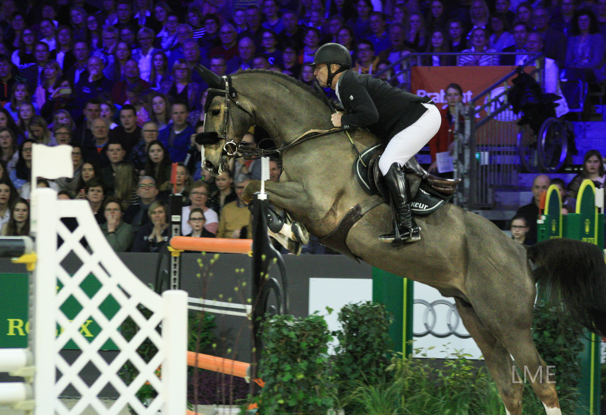 Canon EOS 1000D (EOS Digital Rebel XS / EOS Kiss F) + Sigma 50-200mm F4-5.6 DC OS HSM sample photo. Indoor brabant 2016, rolex grand prix photography