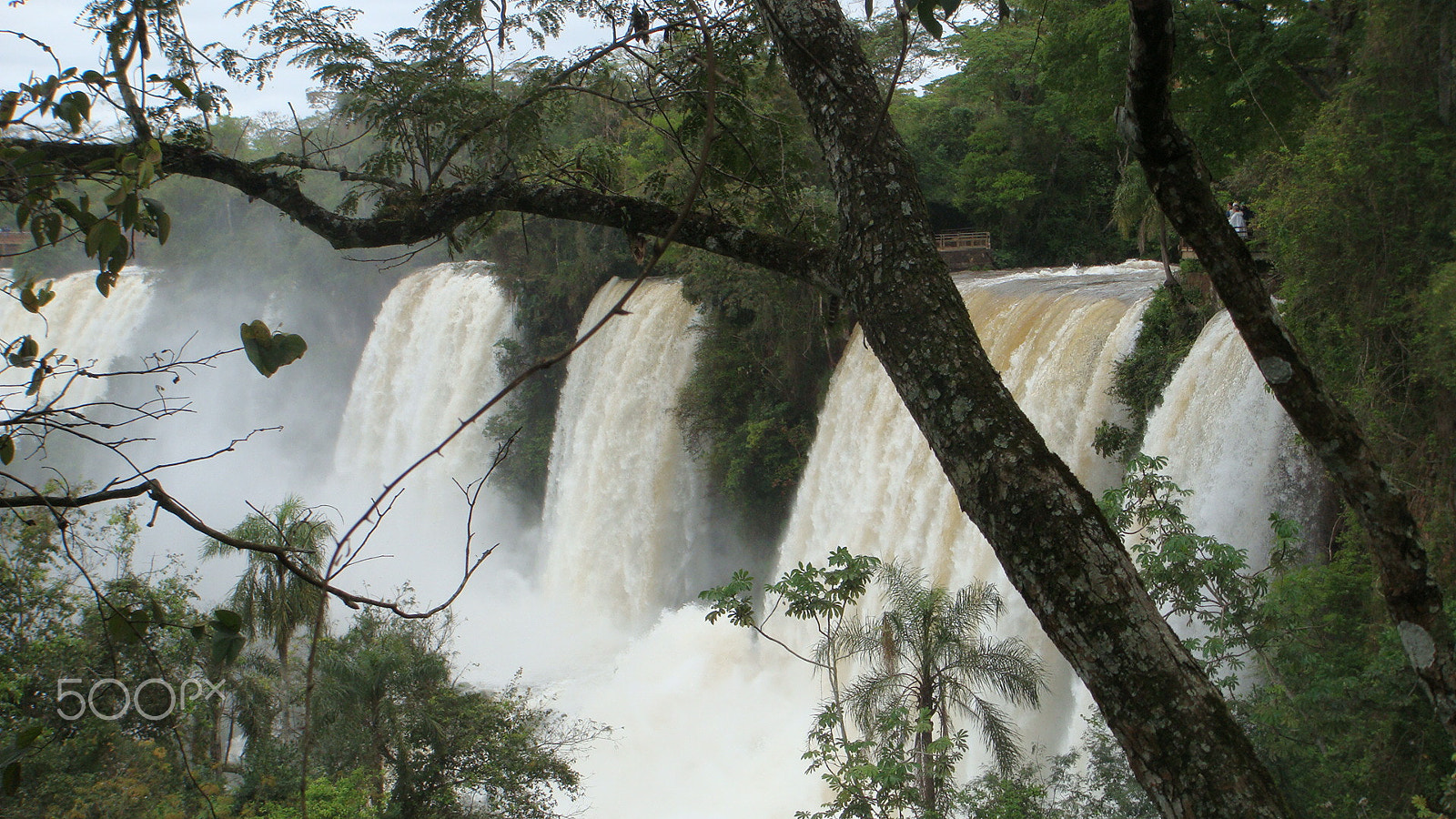 Sony DSC-T300 sample photo. Cataratas del iguazu_2  - argentina side photography