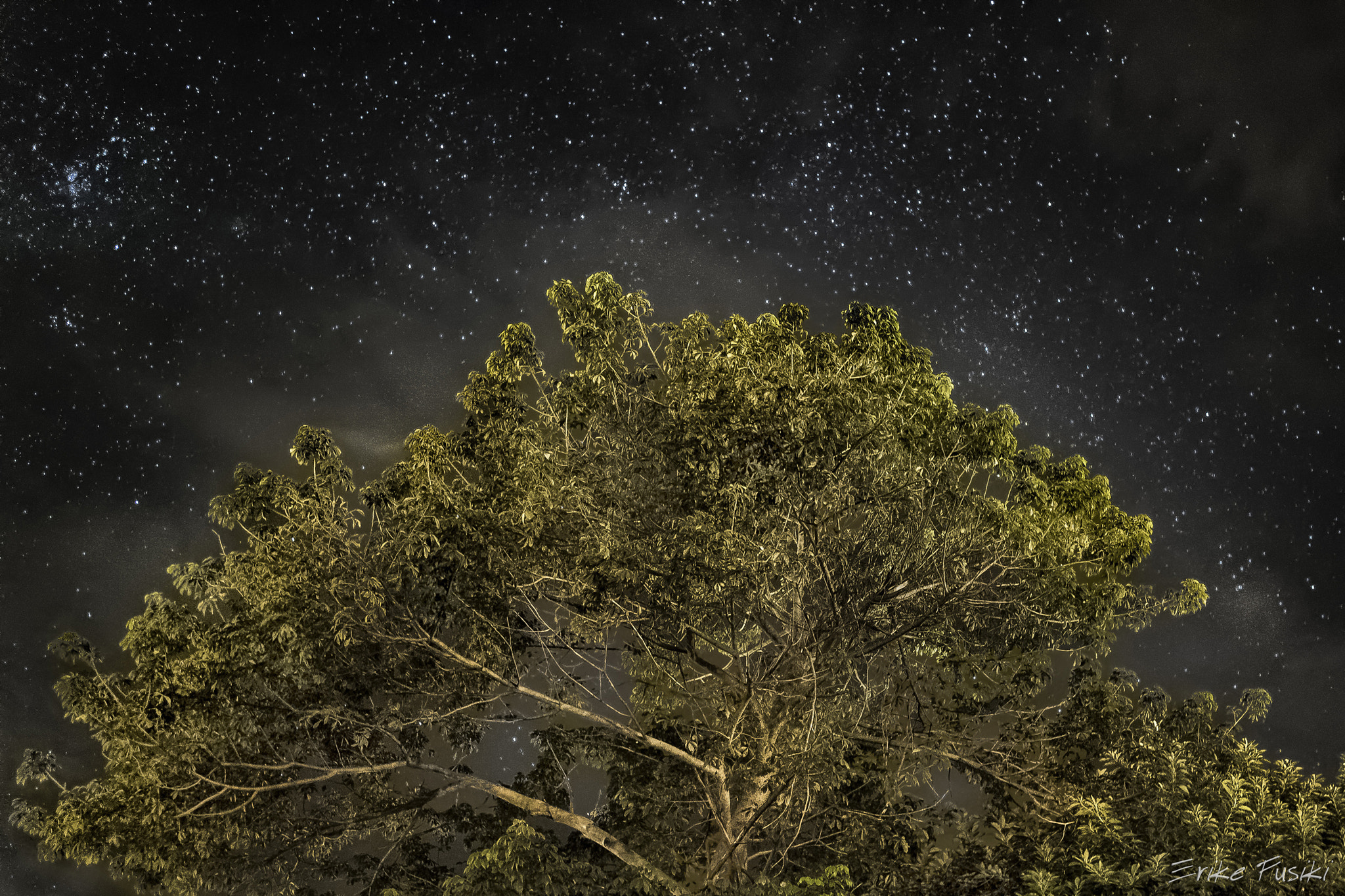 Canon EOS M2 + Canon EF-M 22mm F2 STM sample photo. Up to the stars photography