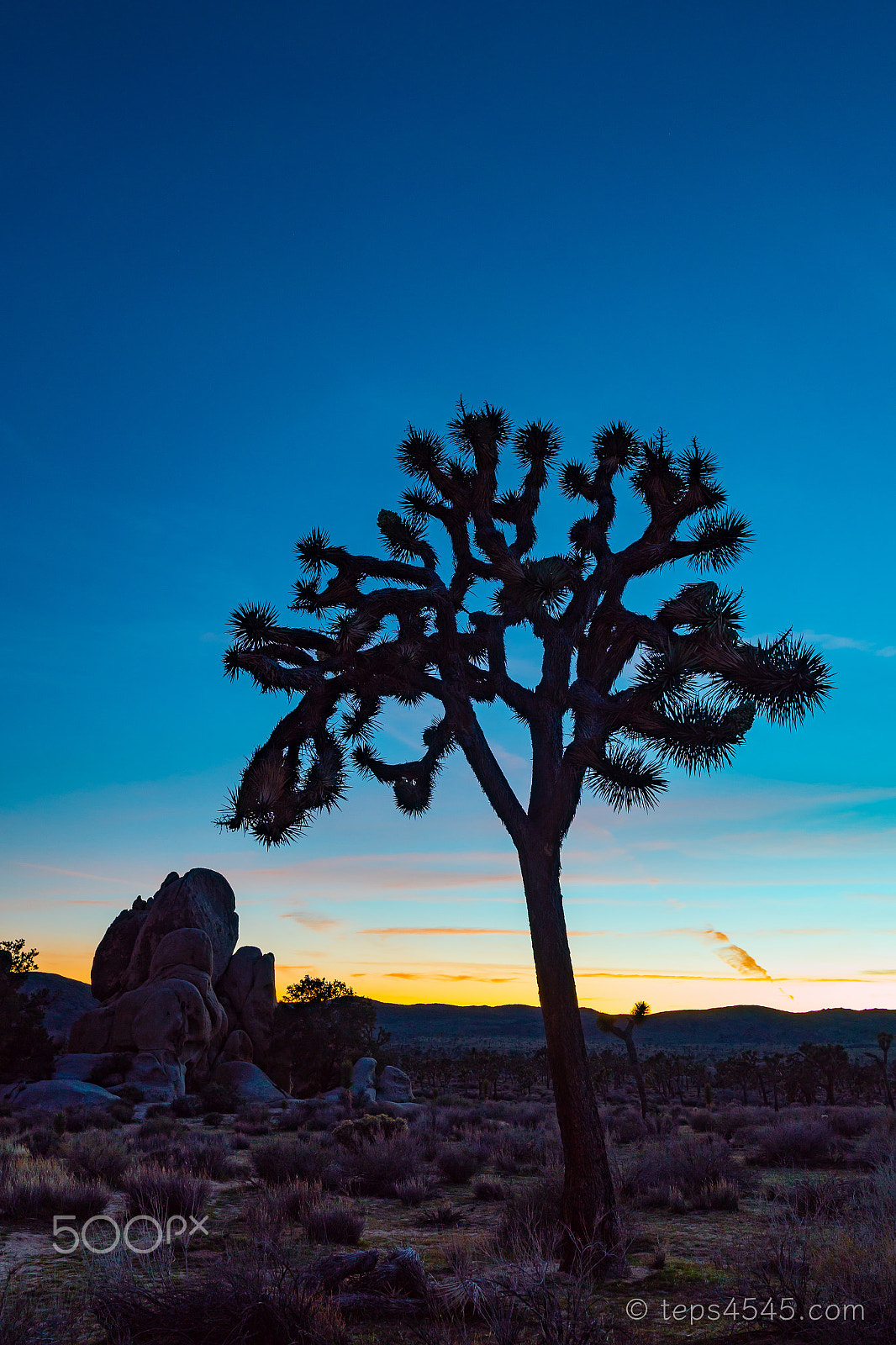 Panasonic Lumix DMC-GX8 + LEICA DG SUMMILUX 15/F1.7 sample photo. Dawn / joshua tree np, ca photography