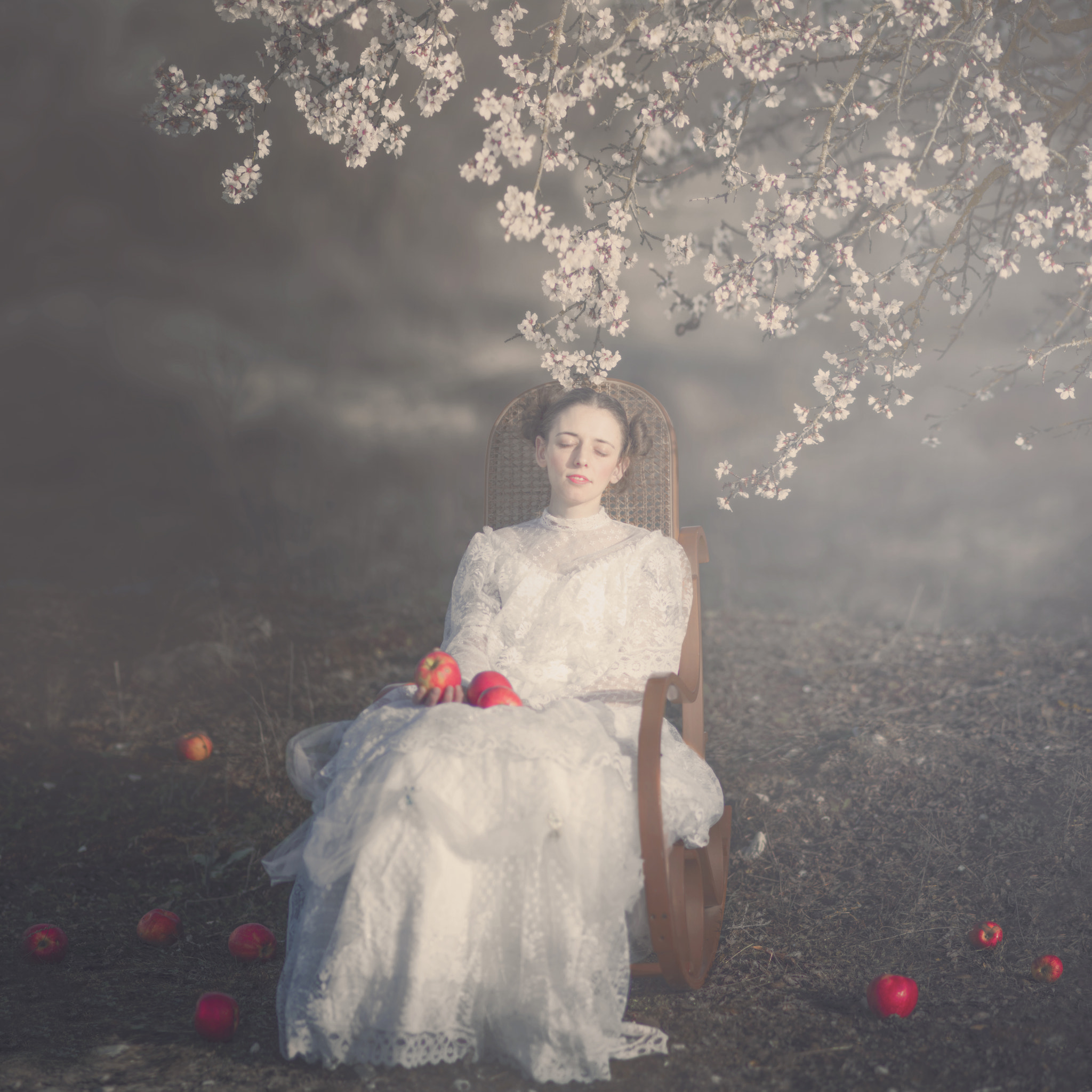 Nikon D800 + AF DC-Nikkor 135mm f/2 sample photo. Apples under the almond tree photography