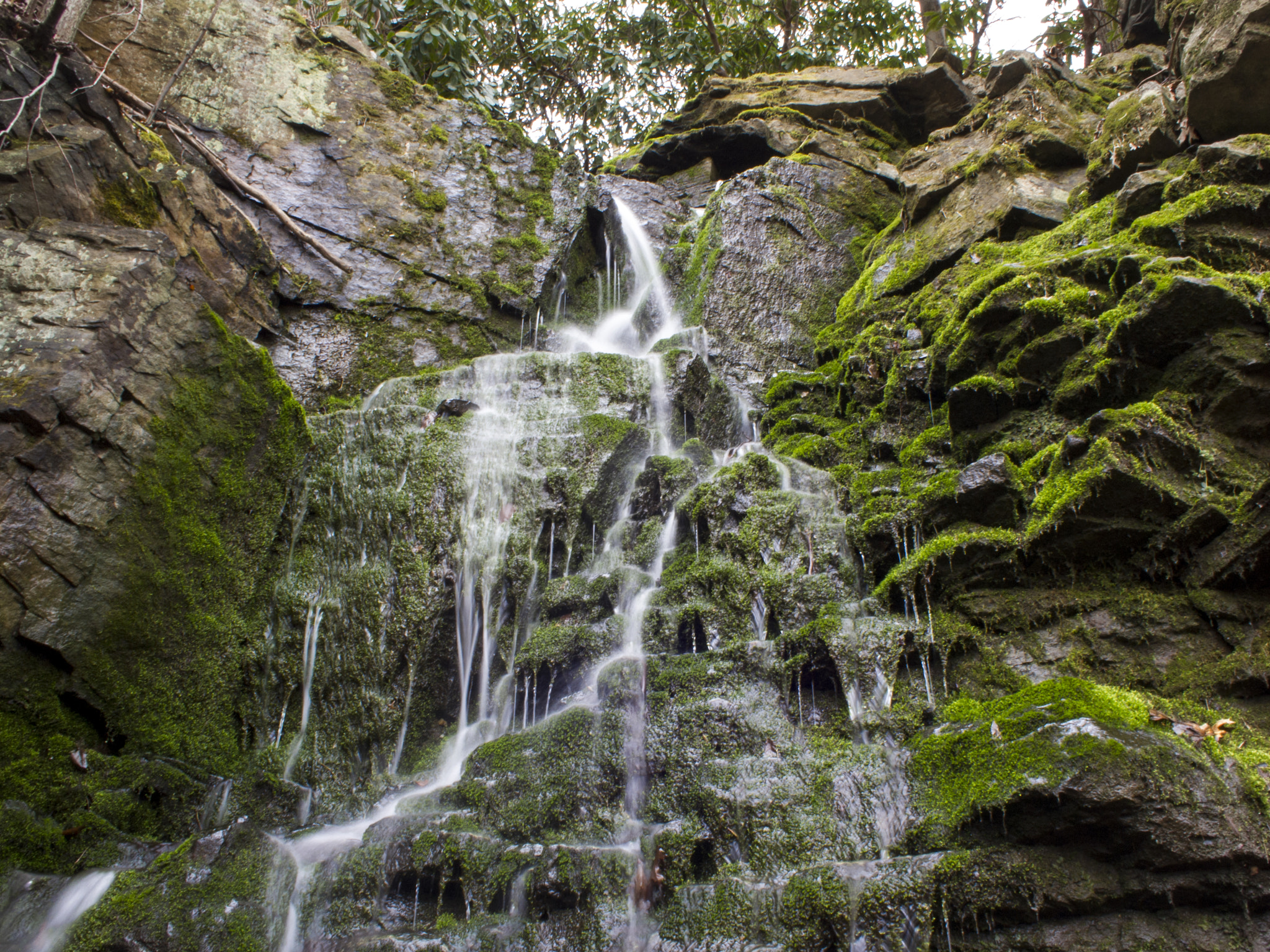 Olympus PEN E-PL1 + Olympus M.Zuiko Digital 17mm F2.8 Pancake sample photo. Mossy falls photography