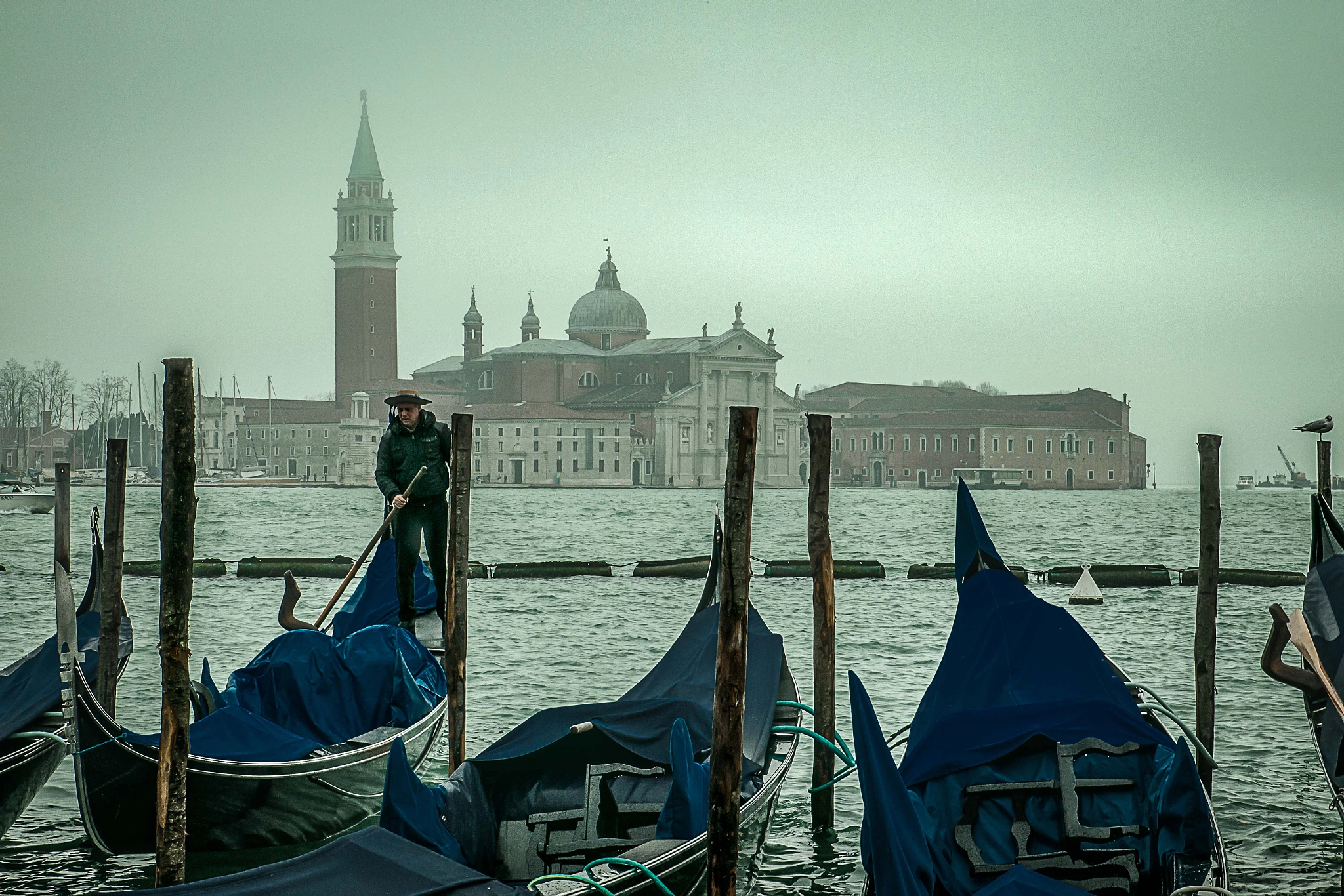 Canon EOS-1D Mark III sample photo. Venezia panorama photography