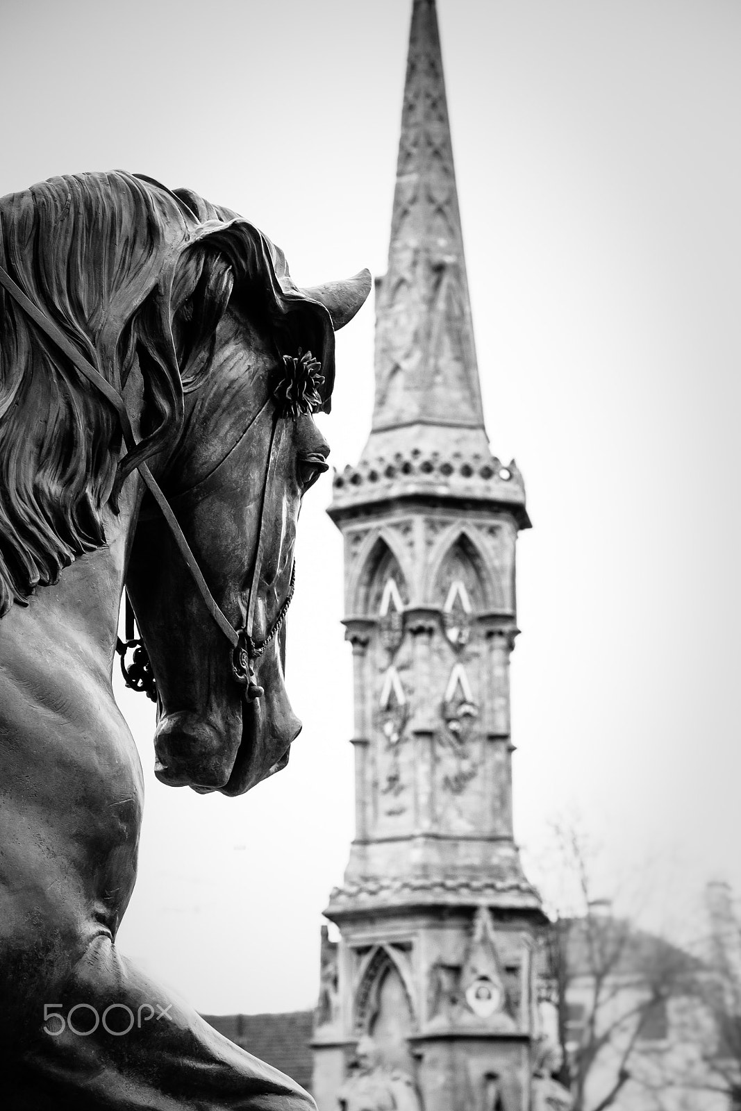 Canon EOS M + Canon EF 50mm F1.4 USM sample photo. Ride a cock horse photography